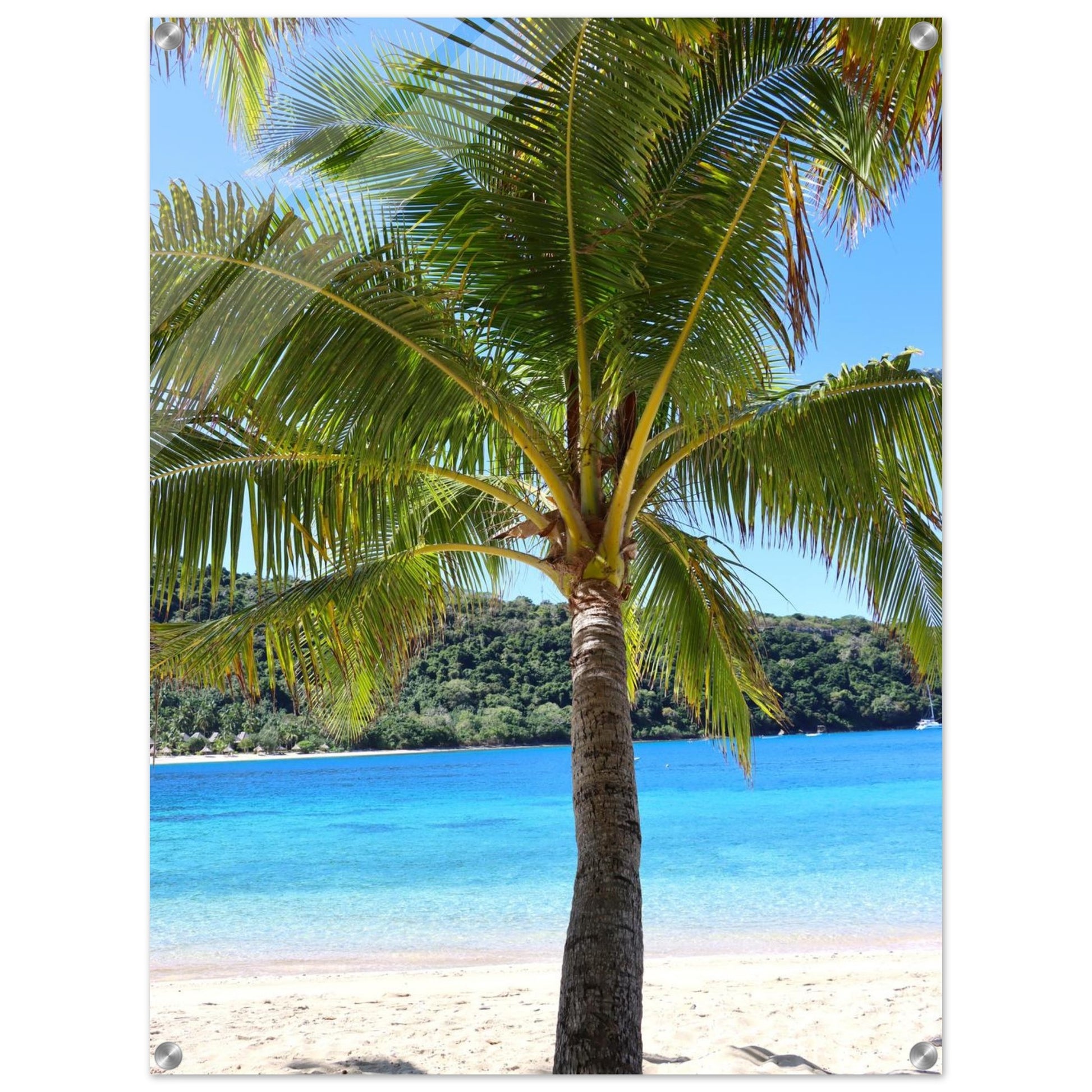 7a22b057-8ee4-4241-b06d-d2b105ea8227