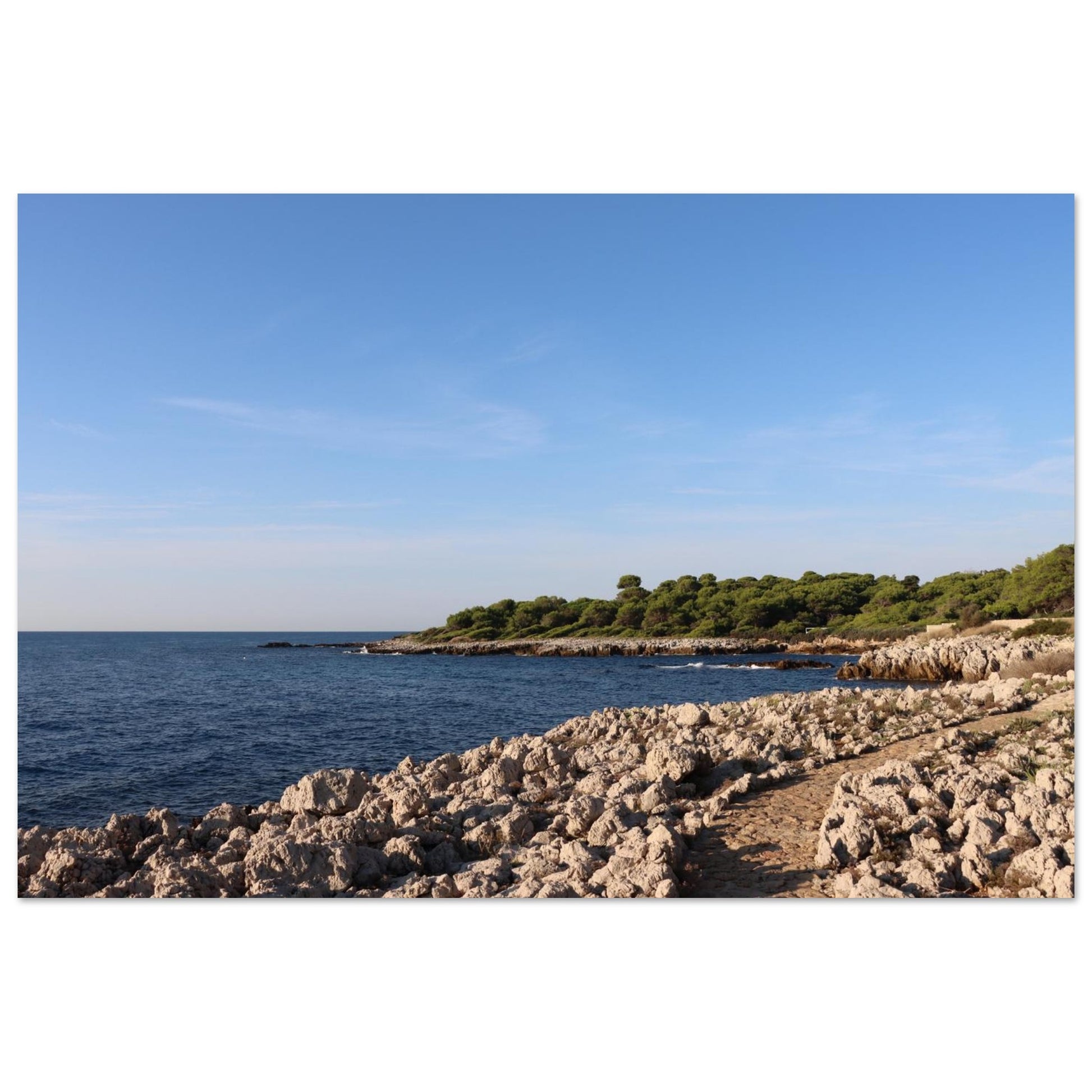 7aab6aae-7e55-4b9d-9829-fdfdad077c66