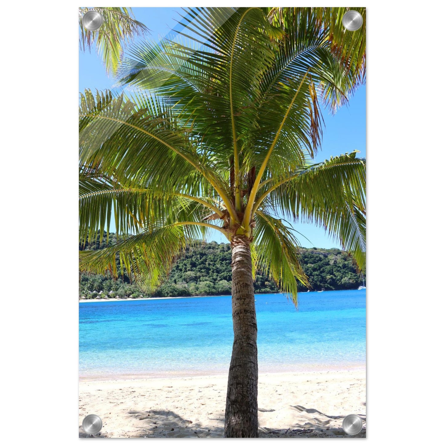 7e555f8d-a674-4263-9e99-eea50677c71e