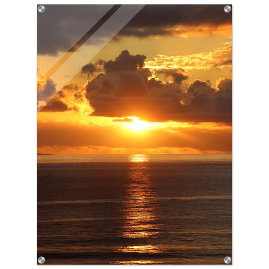 7e58c54f-43ce-43fc-9186-5d2eb6d902d6