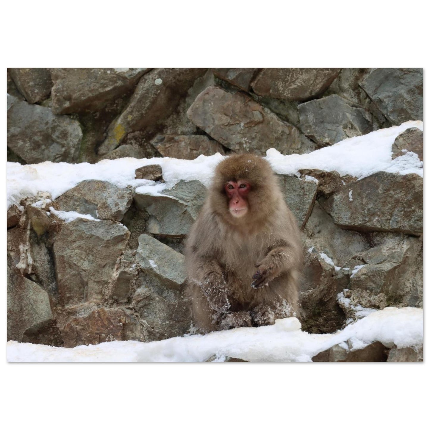 7f92c73c-4bec-433d-b326-af4ff2c40bc9