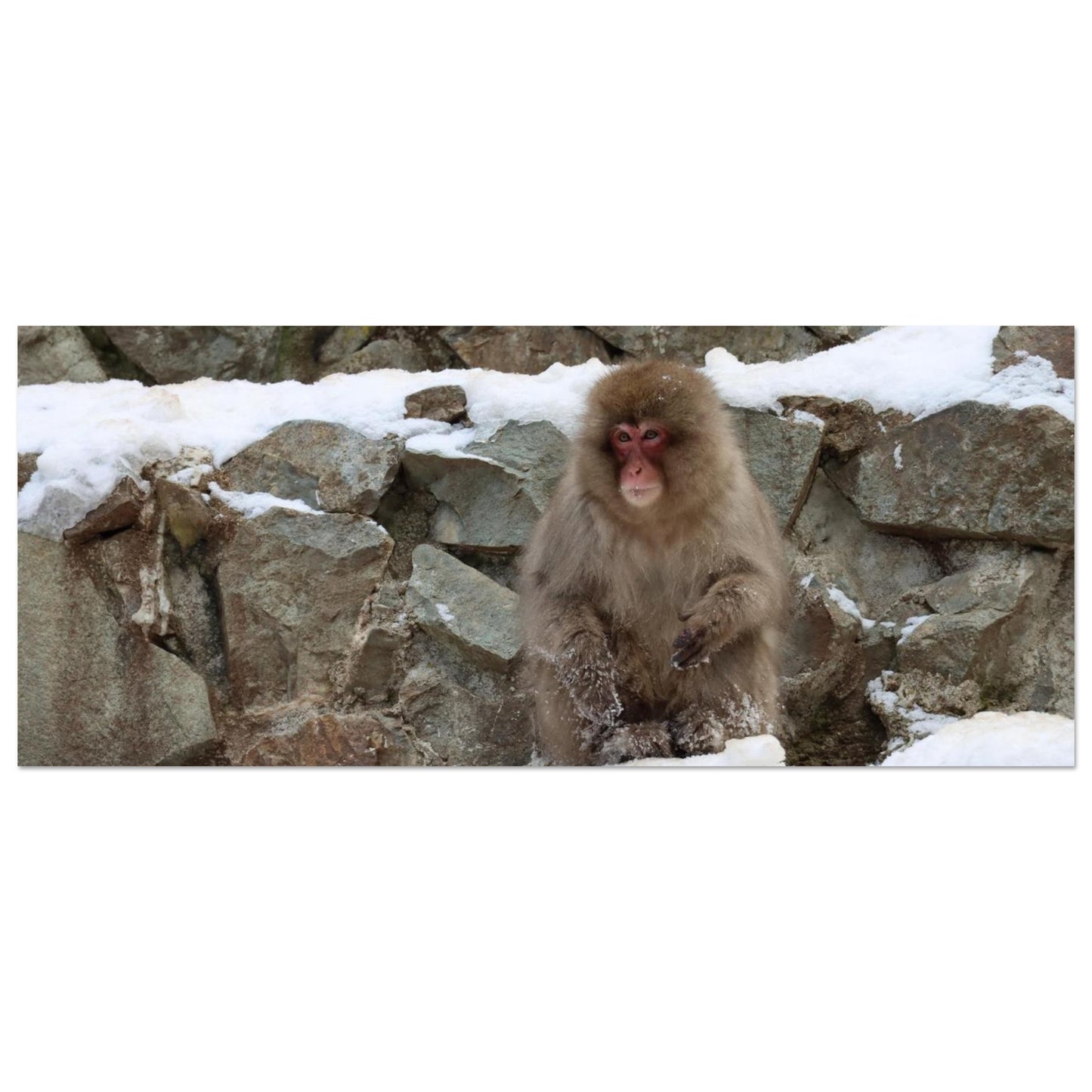 8142ea78-cd60-40b8-96fc-2a94f13719d3