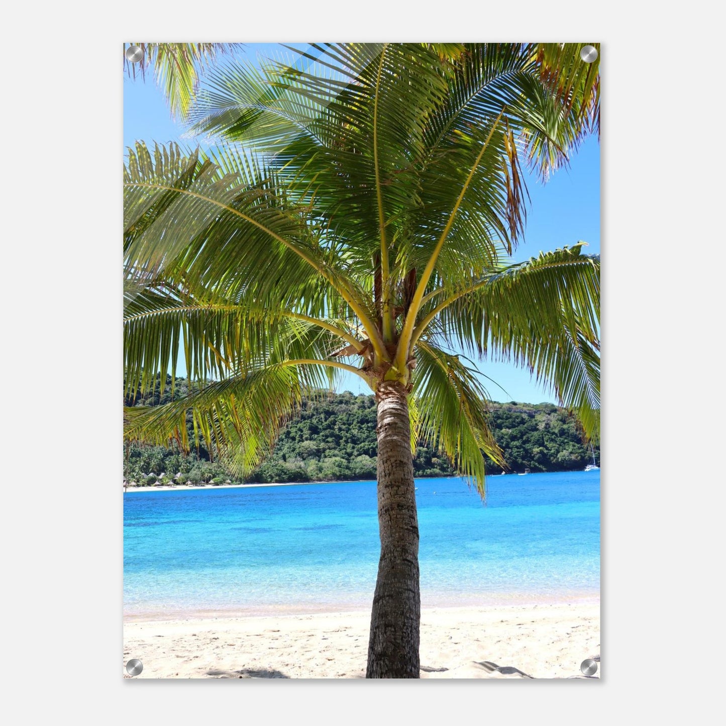 81e30647-5fb4-45b6-91f0-0c2d0b0985d6