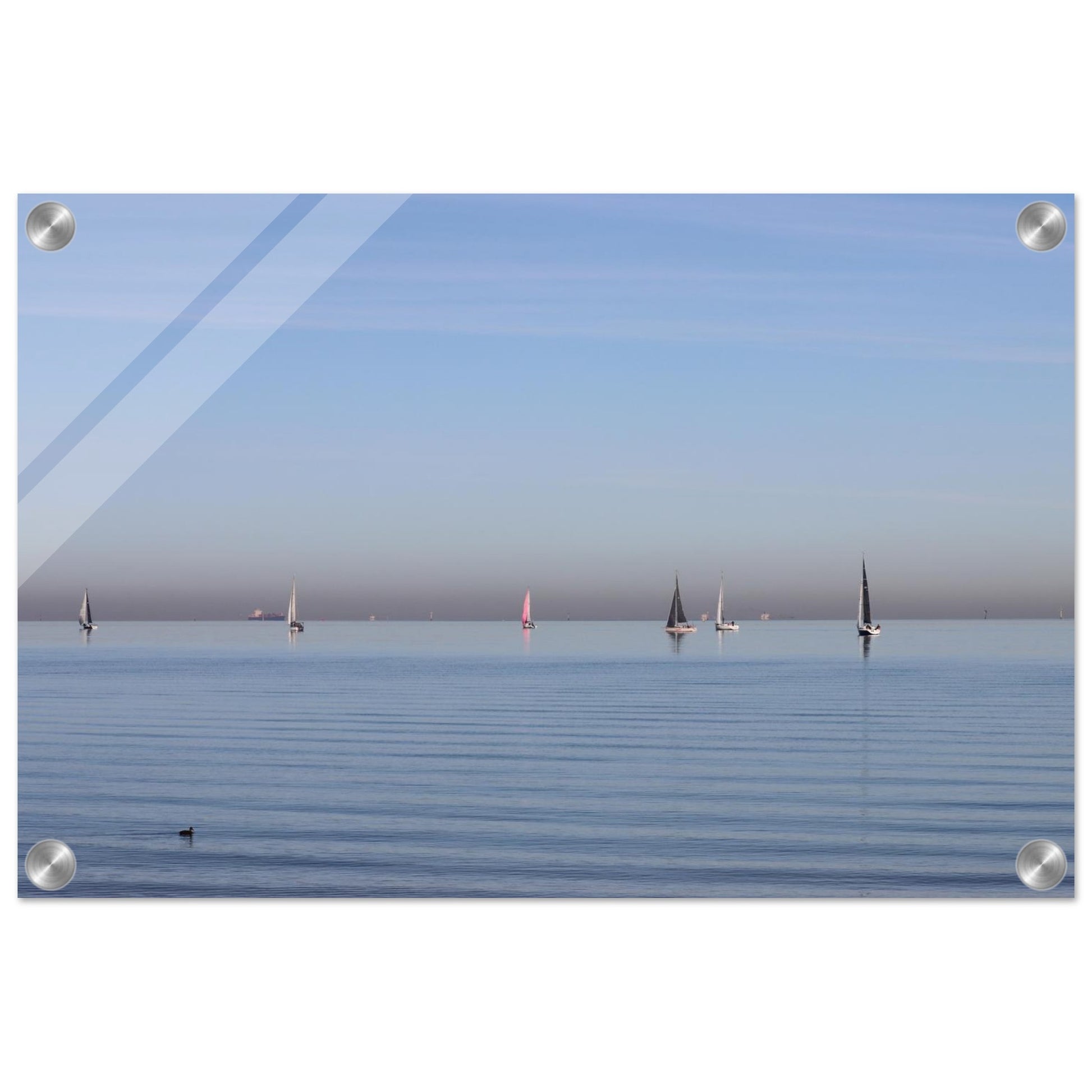 84476439-cb30-4802-be3e-66c9fb8c5c28