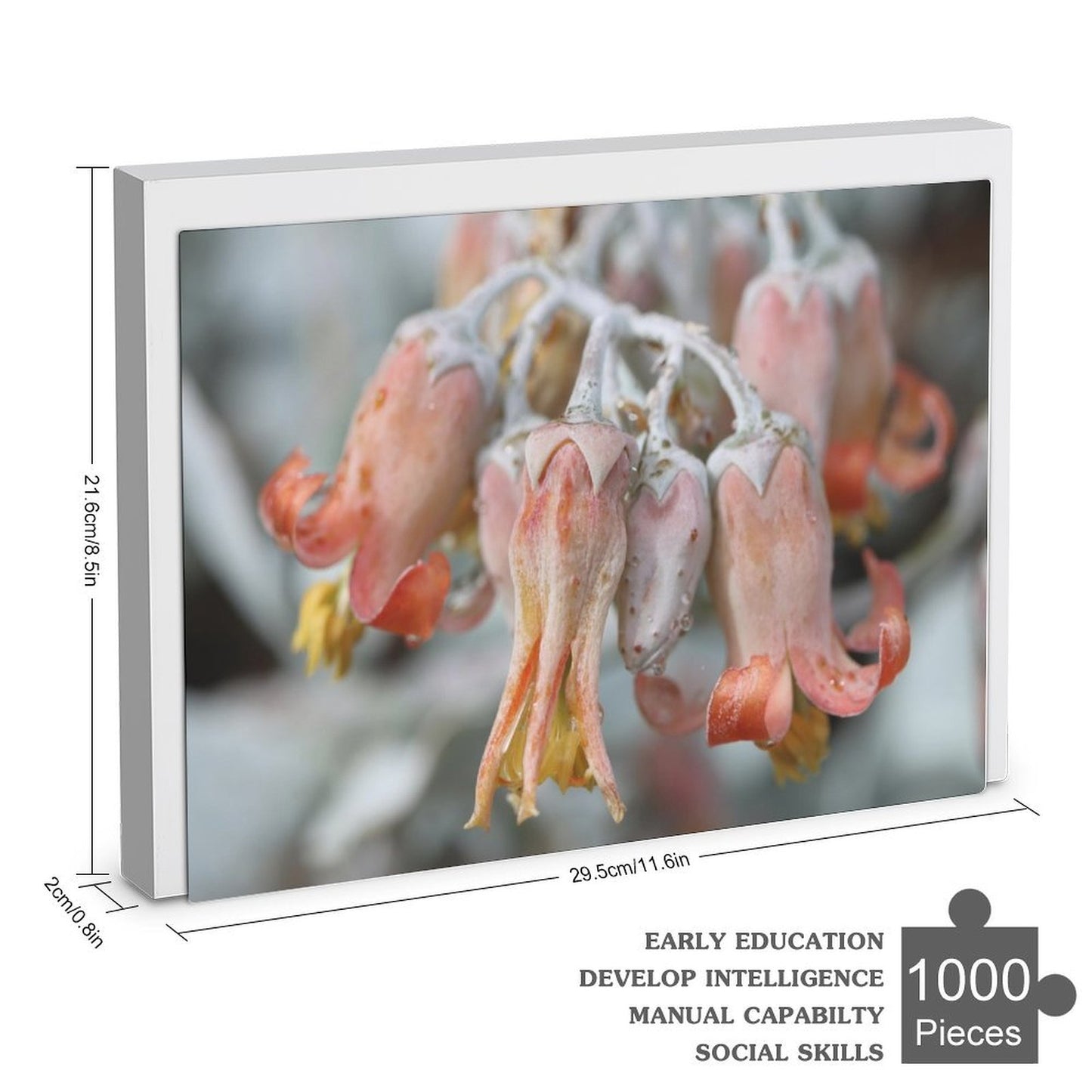 Dessicated flowers - 1000-Piece Jigsaw Puzzle