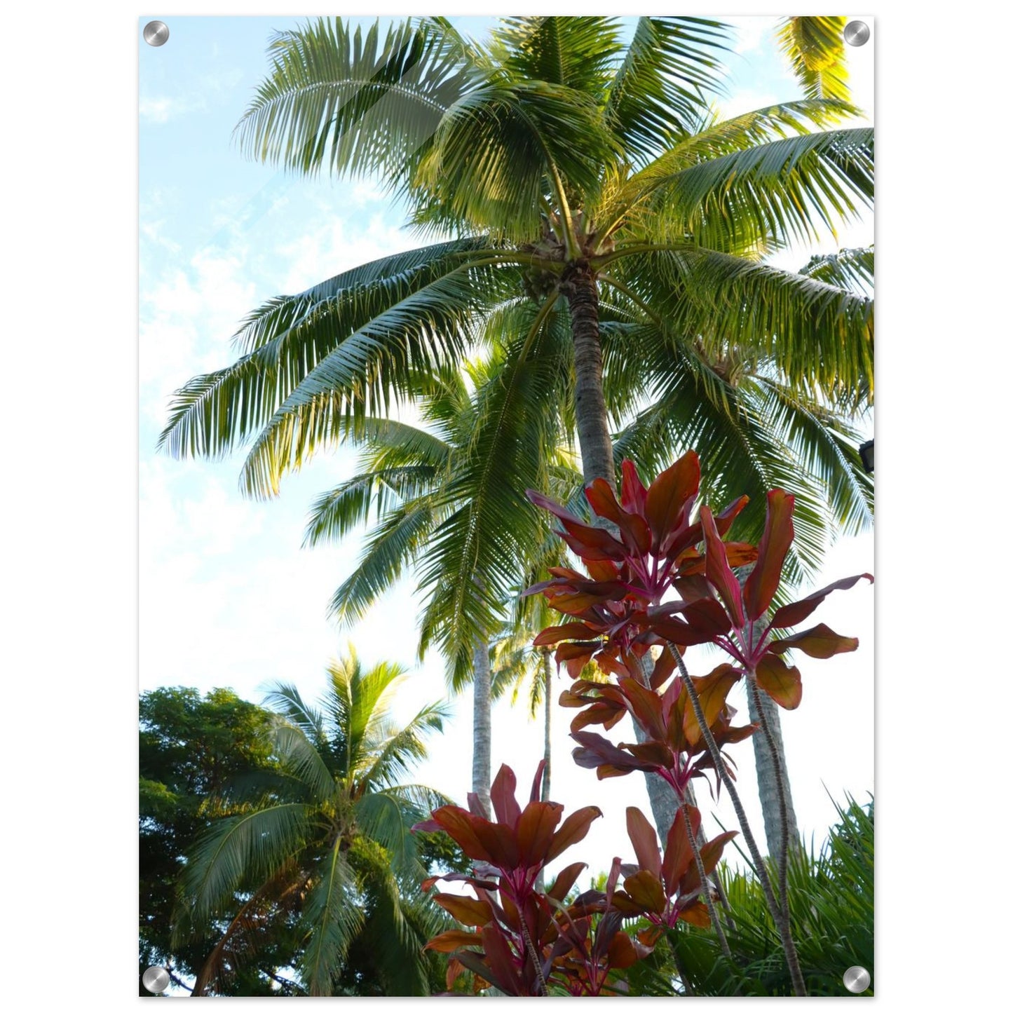 88079ec8-d816-472e-ae68-3783100f5efa