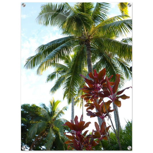 88079ec8-d816-472e-ae68-3783100f5efa