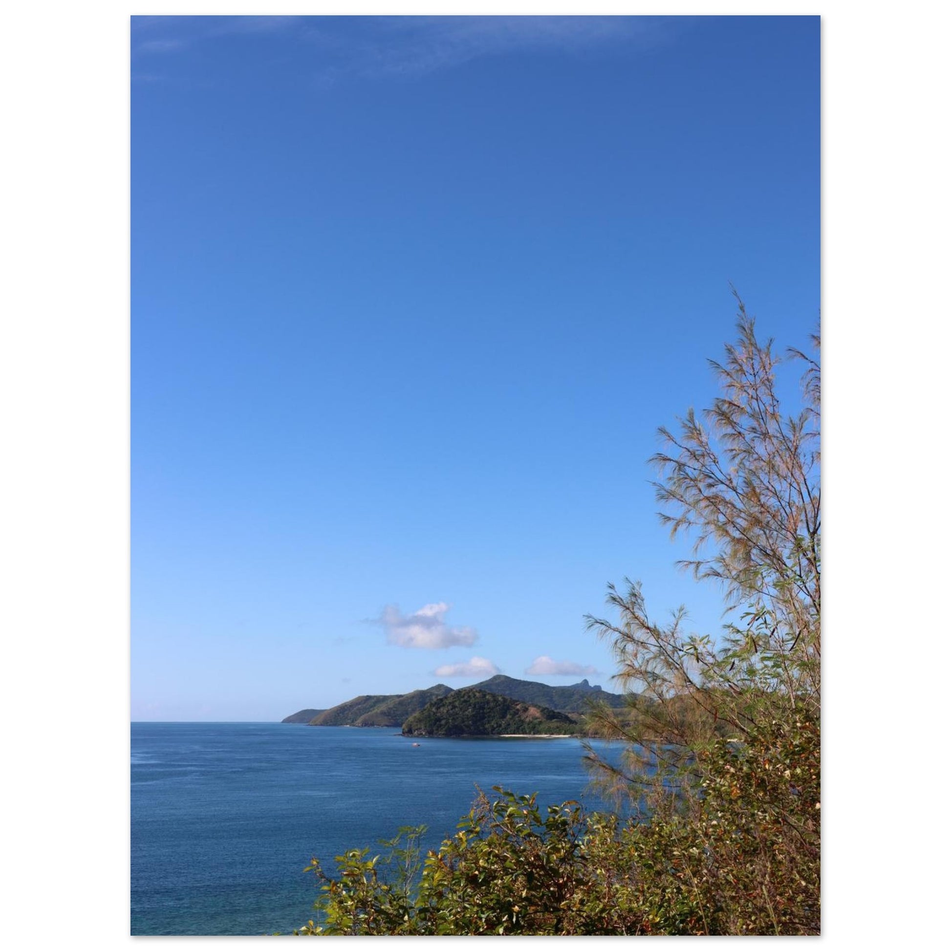 88585c18-49cd-4b99-a7ec-e1ec4ecc9d37