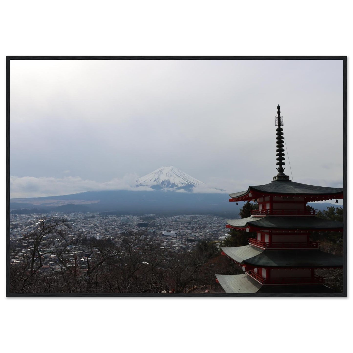 8892b7a8-29f6-4580-93da-fb2875295a4f