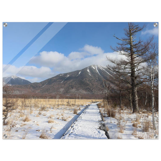 8a753eba-c5b5-4f96-a697-b740e19651d7