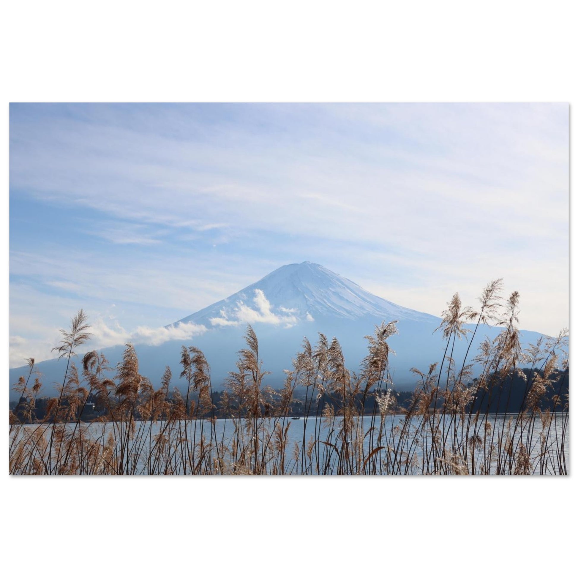 8a7837e9-bb93-4c17-ac40-ff98ca3945fc