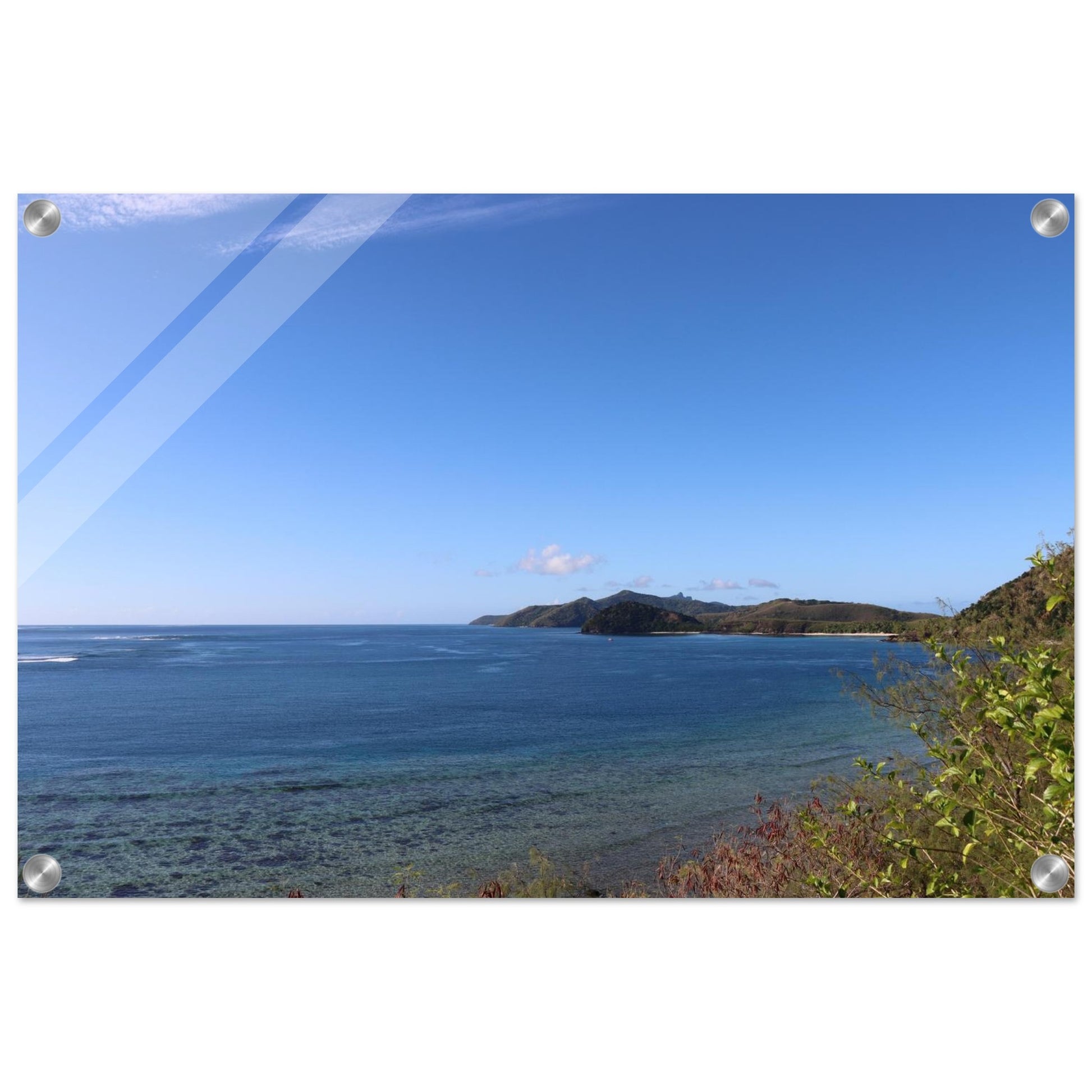 8bf65136-ed32-4933-8e76-f1a2c0e22c53