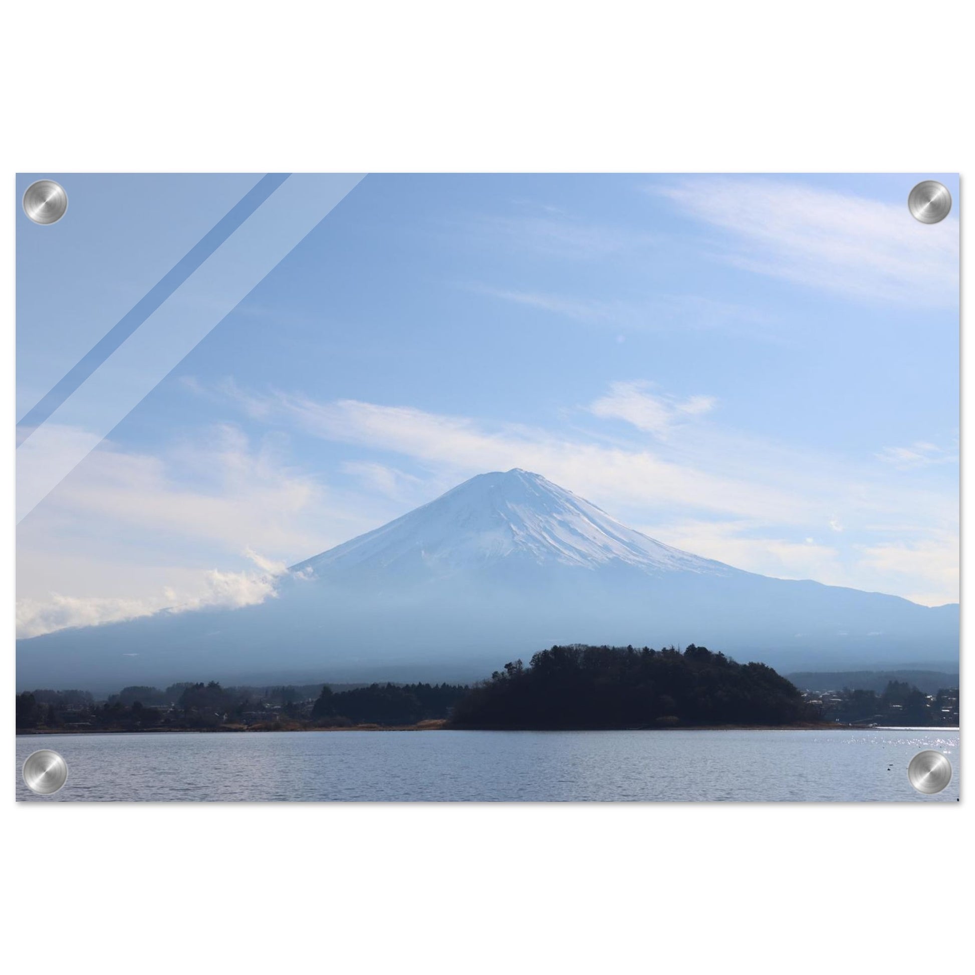 8d09bb89-39f7-4812-b50d-b1c404f67a16