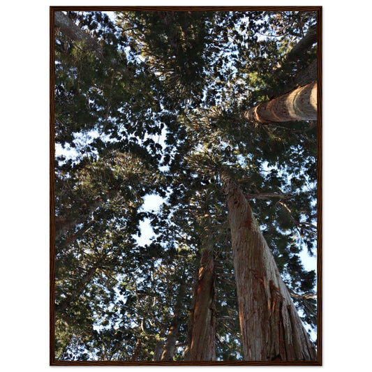 8d402eb0-ae04-4313-ae5e-2d1020fa6893