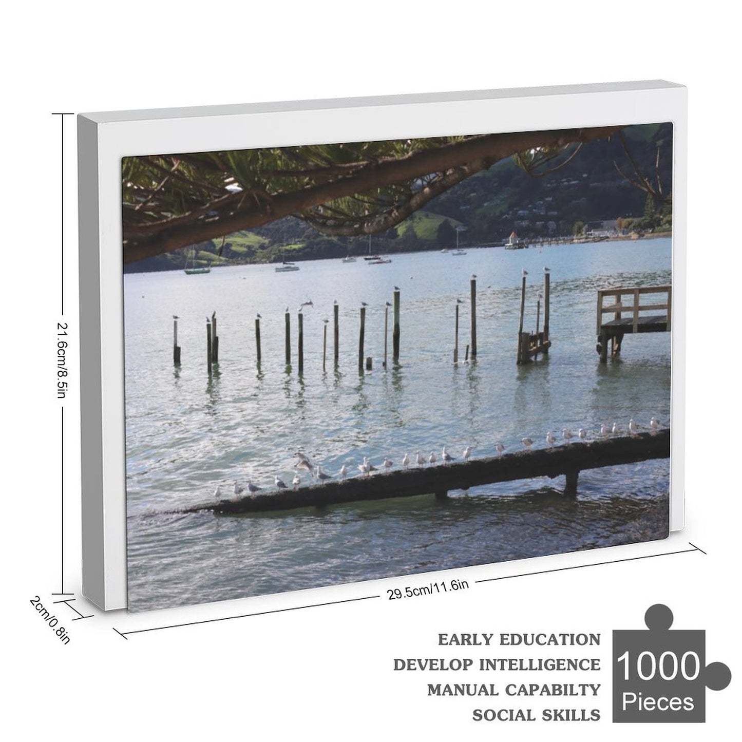 Row of seagulls, Akaroa - 1000-Piece Jigsaw Puzzle