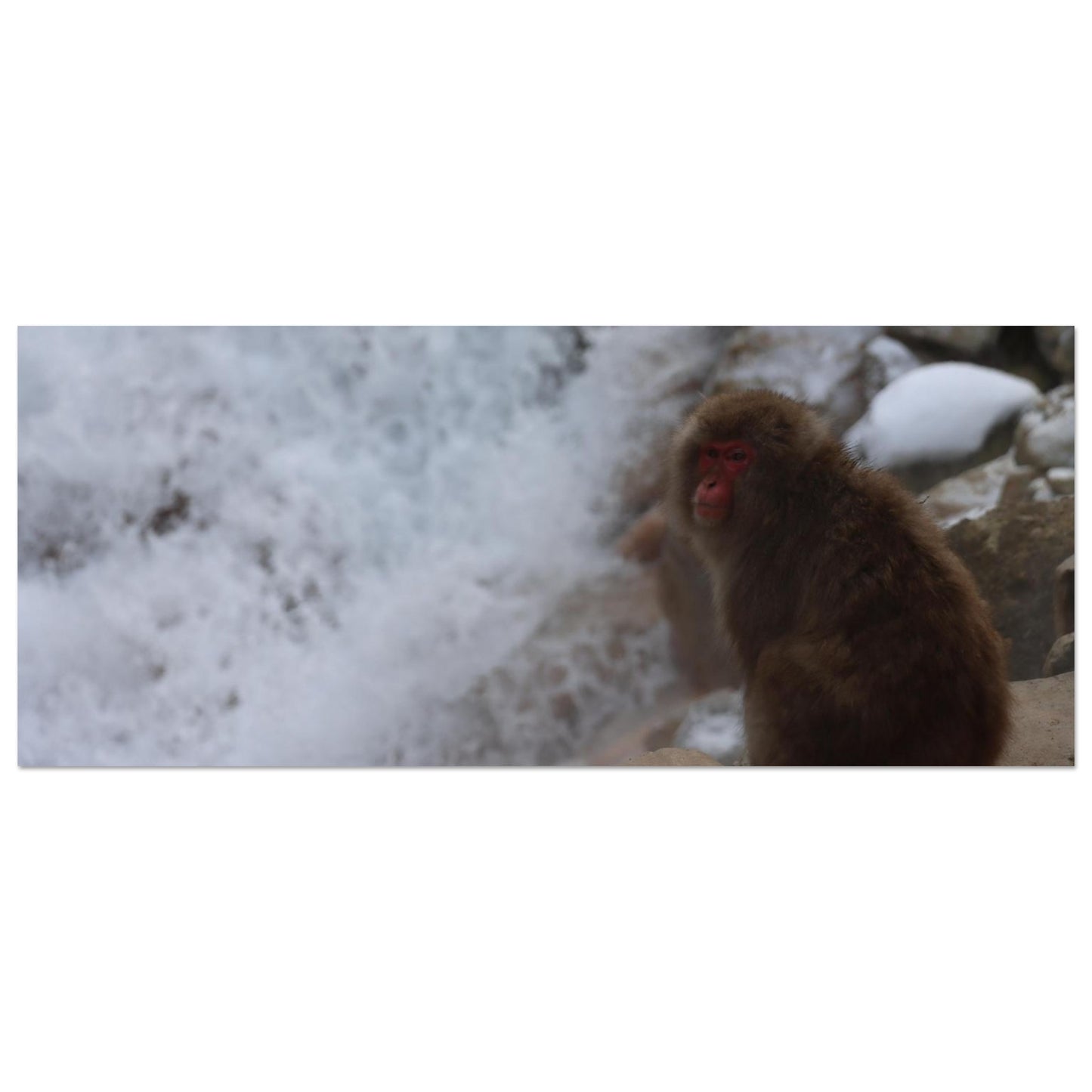 953112b3-be84-4155-b664-fa859964d43b