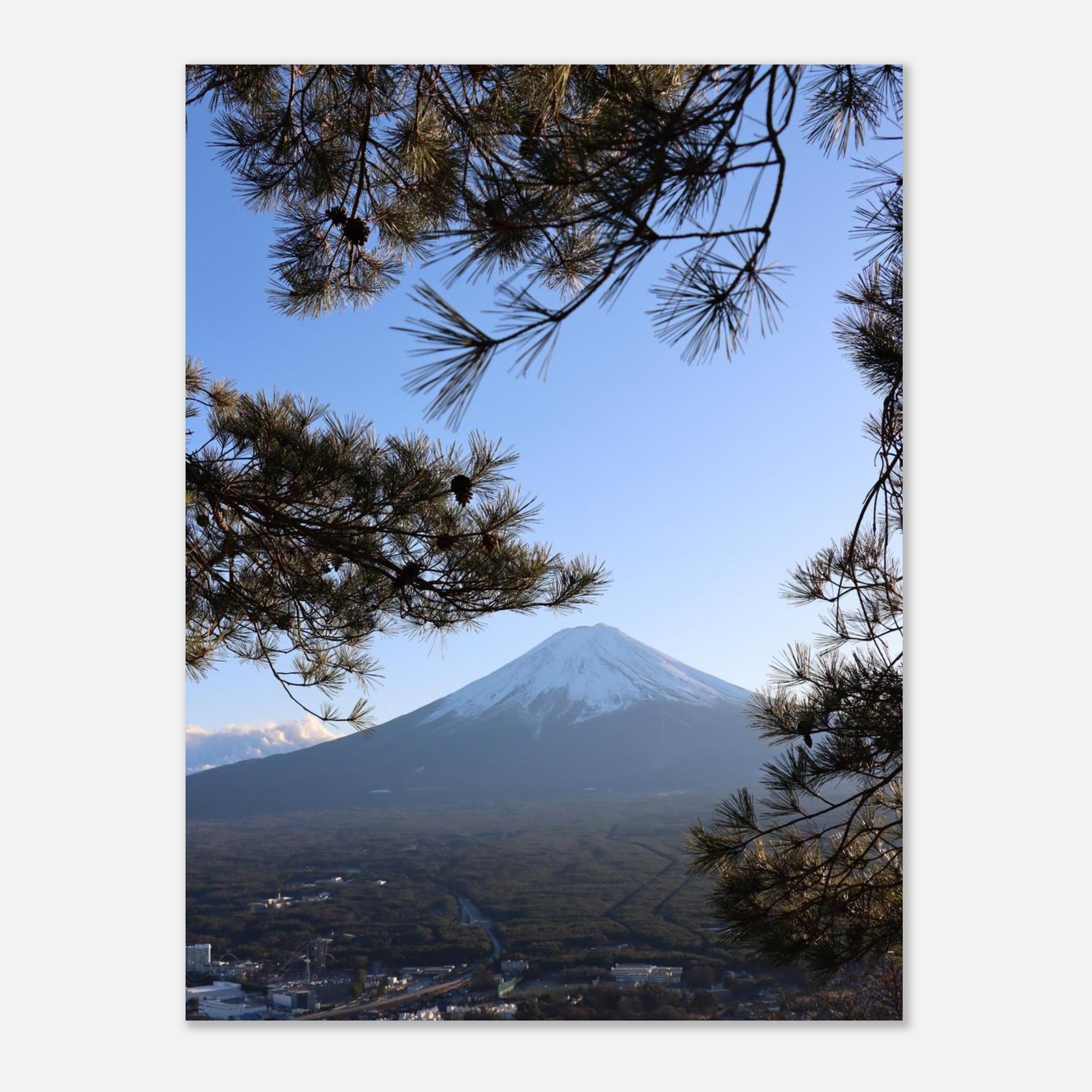 98ddca42-5208-48cc-9bcc-89572a7e020c