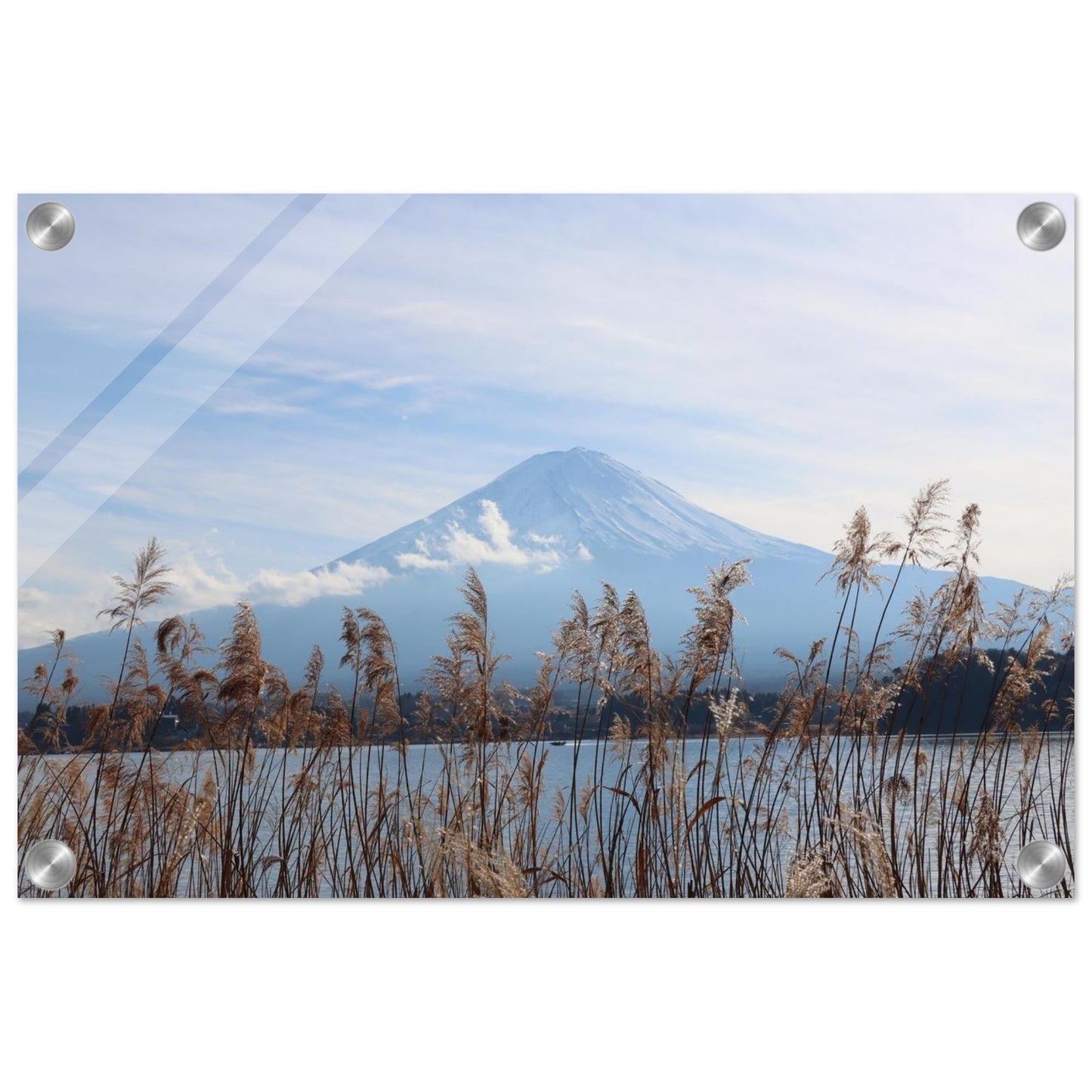 9a93215f-5a93-47d2-b37e-5c2ce326243f