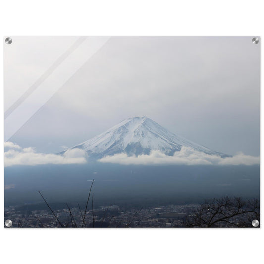 9b166d3e-8493-412a-adb2-0c6b0e572d76