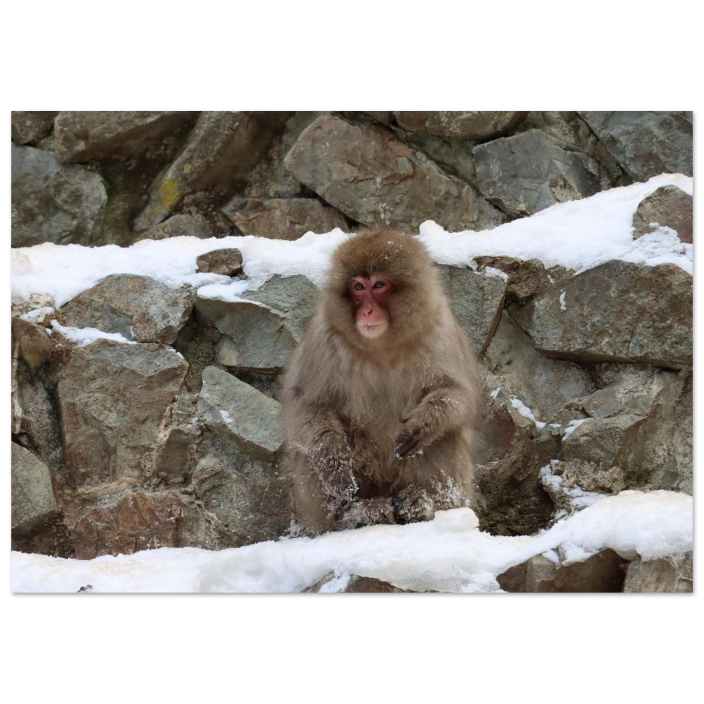 9b2ddad9-ea37-43af-8990-8b6acf32c5b6