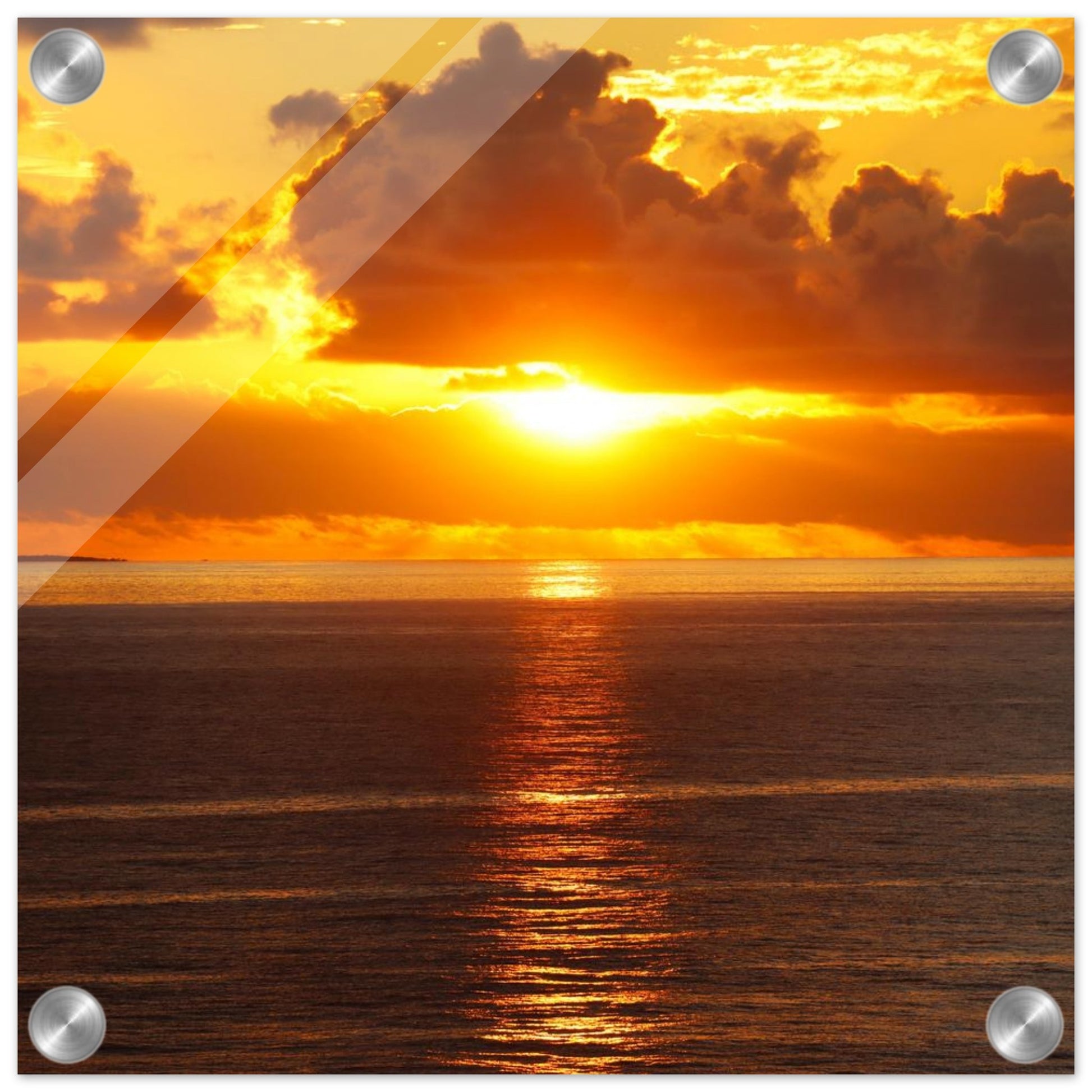 9b3ea335-4a61-46ed-8fe0-a5e4d247fdda