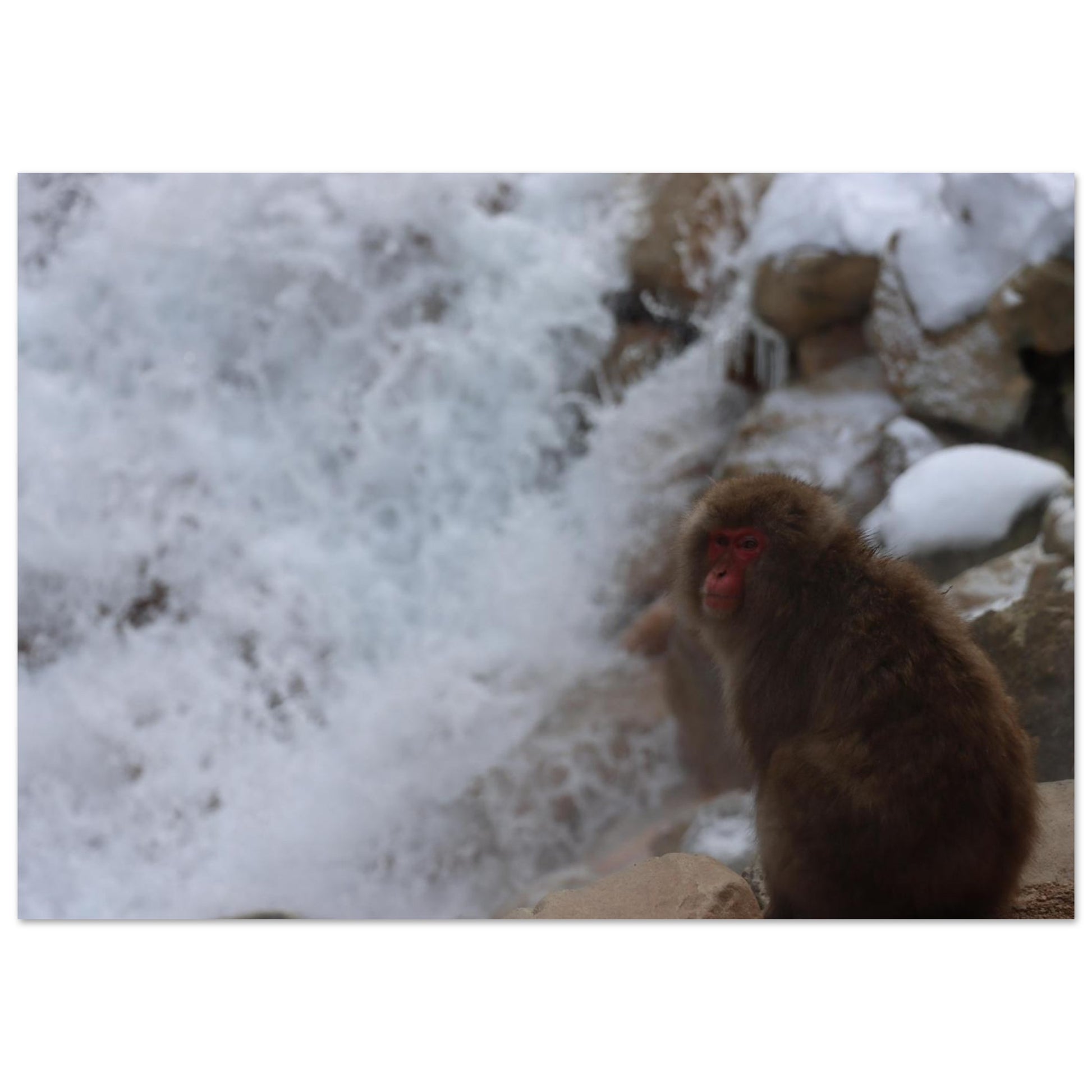 9dd94626-18d8-456c-a714-f2e69a3002bb