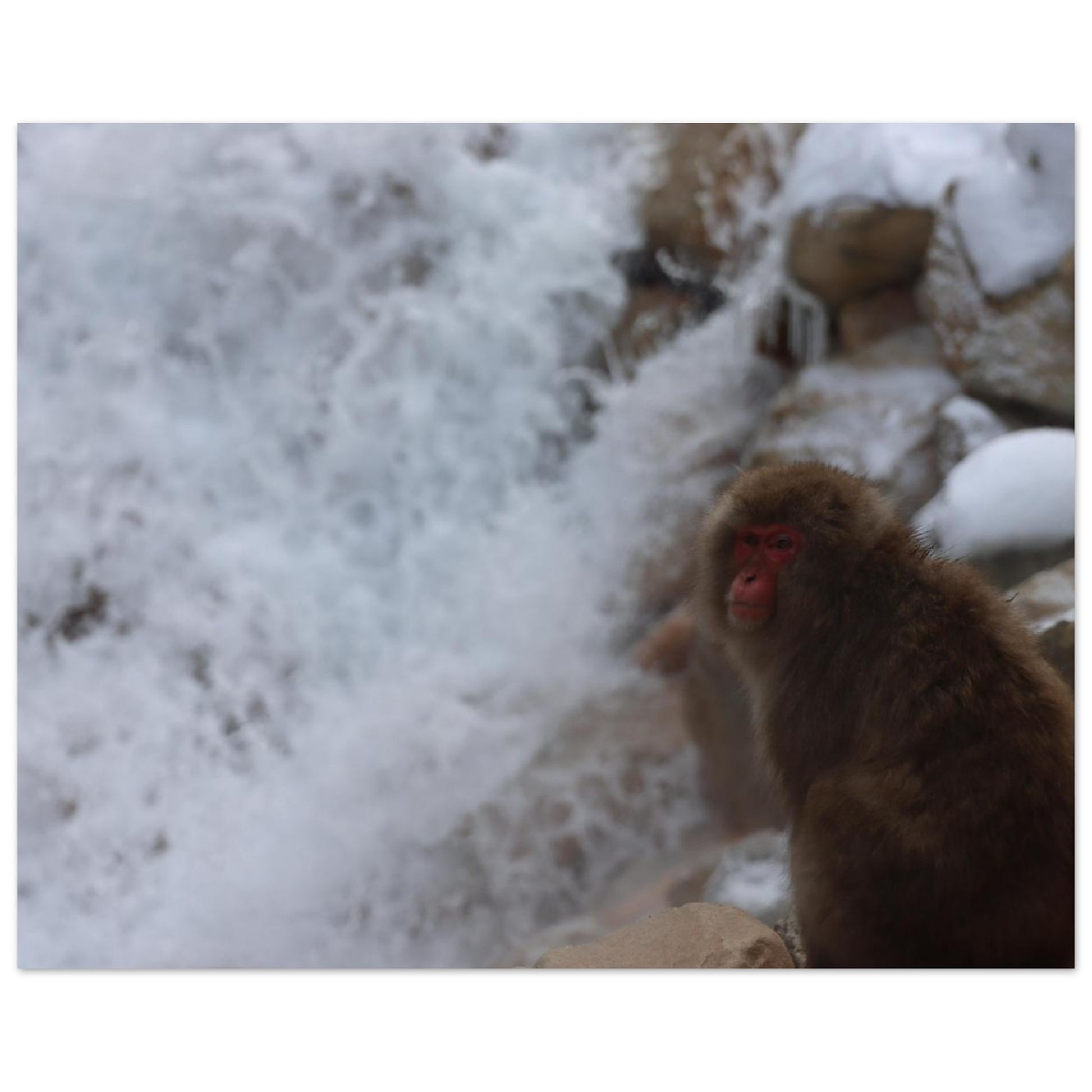 9ee123c9-7bd2-48d9-8fc2-f3020b6f67dd