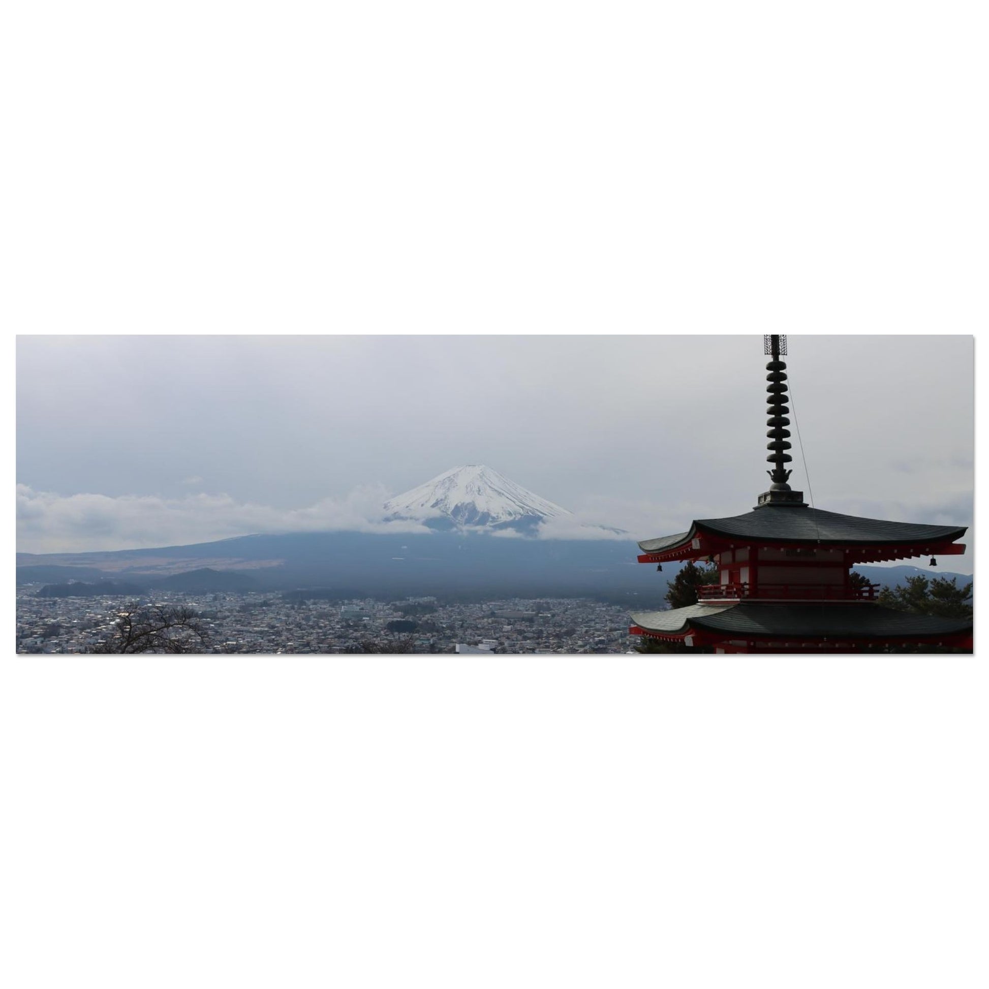 a0761ab6-24d5-4e9b-a691-d665fcfe94f6
