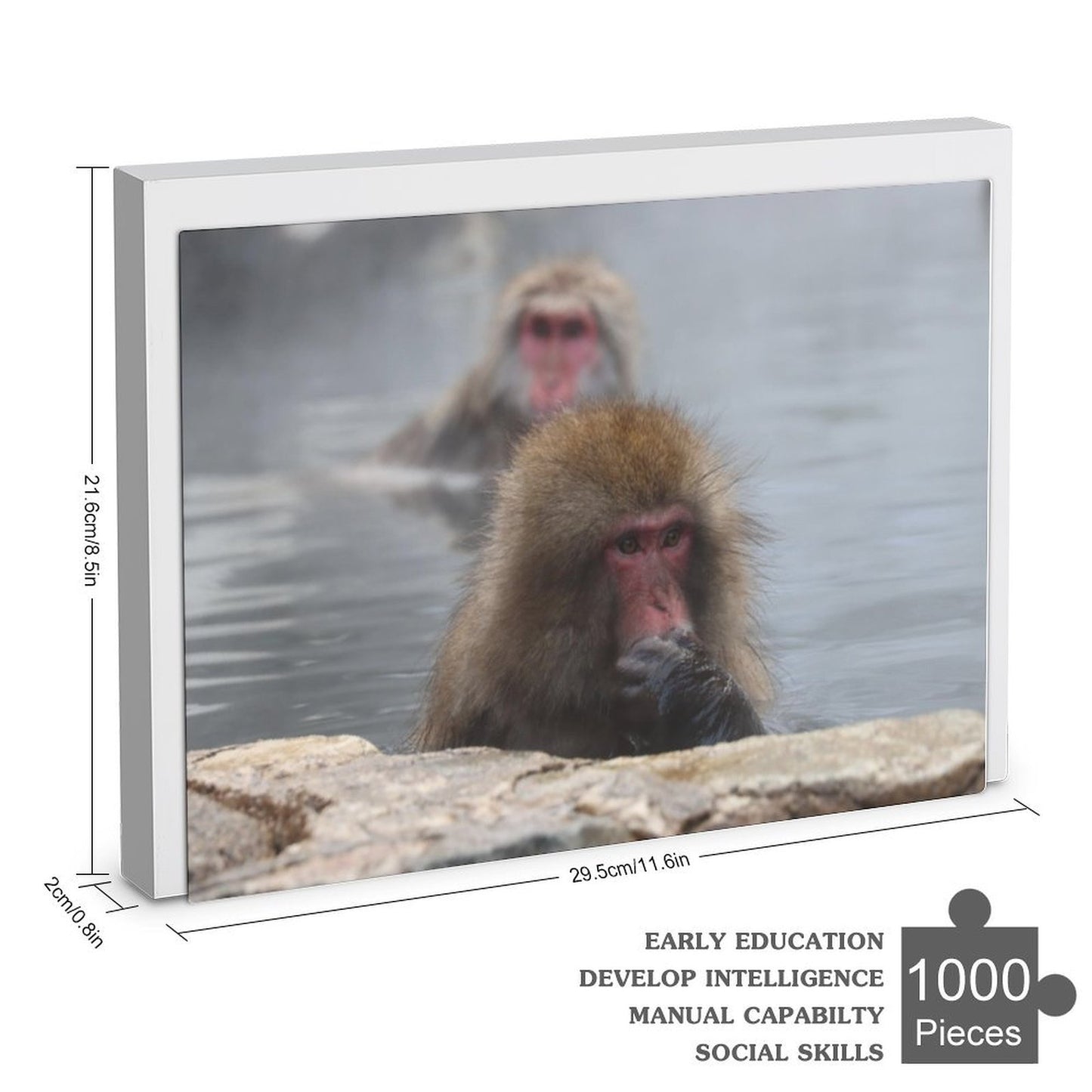 Snow monkeys in an onsen - 1000-Piece Jigsaw Puzzle