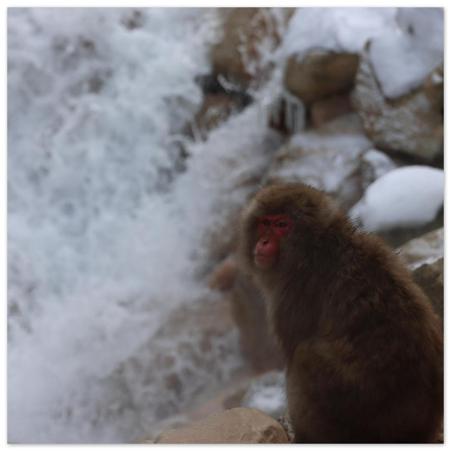 a50c1e9a-6c3a-4806-b38e-480bd02fe35e