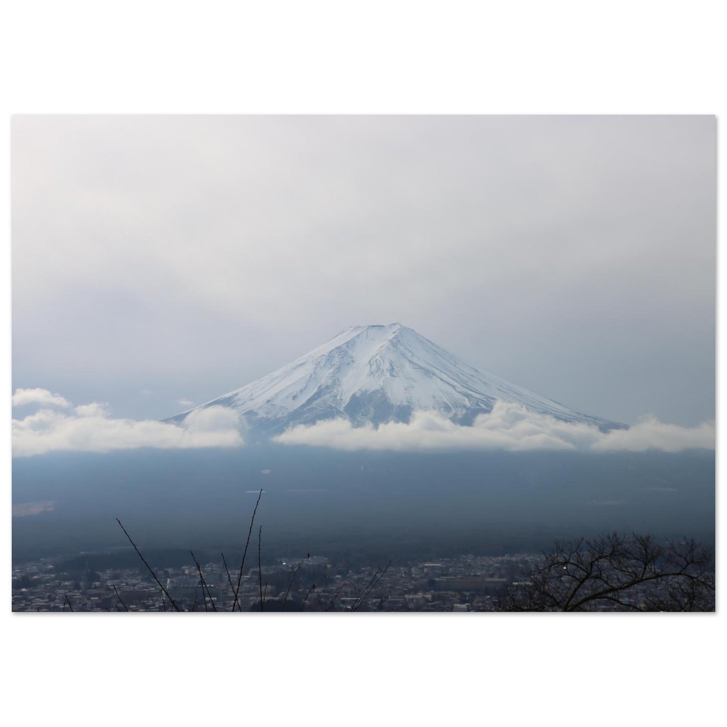 a62b81b8-7514-4b53-9d09-5e4f702d56a1