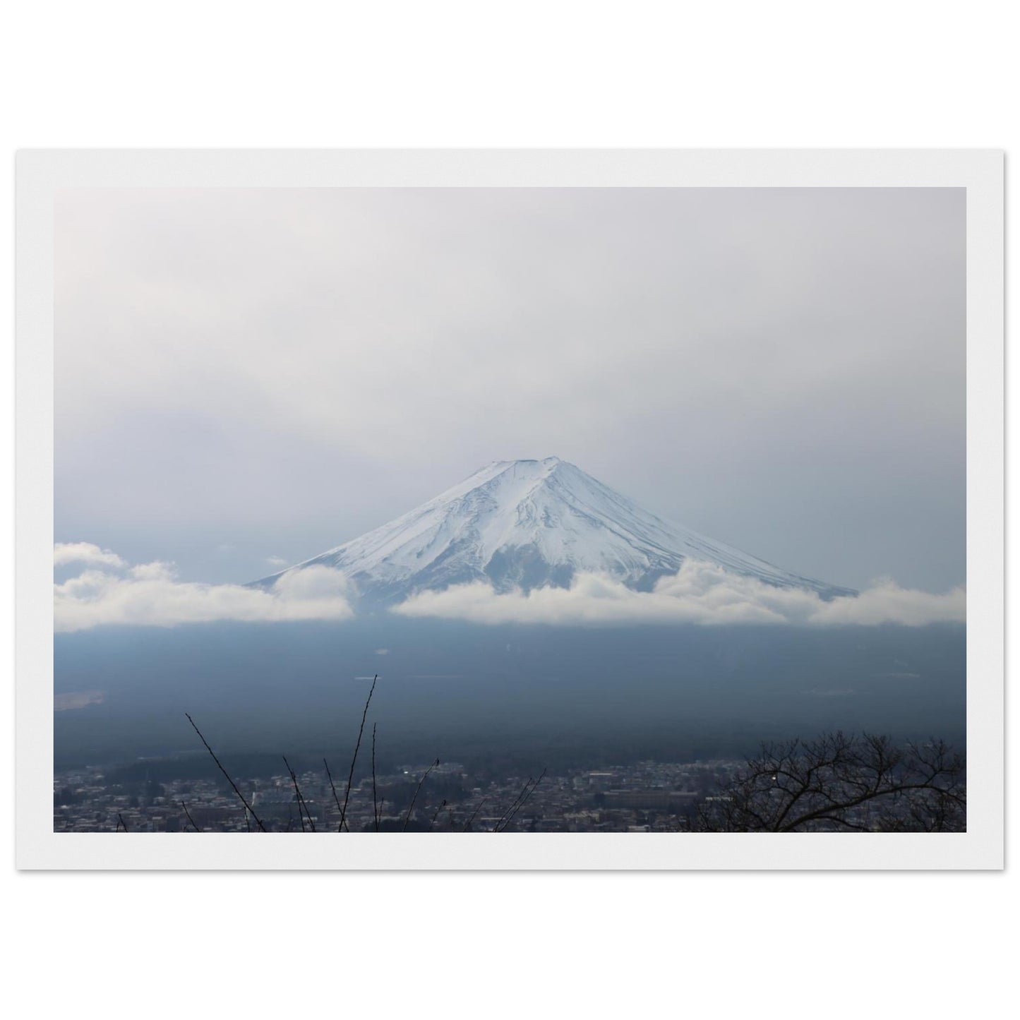 a71d2225-66f4-4000-96c3-fa9675f48e32