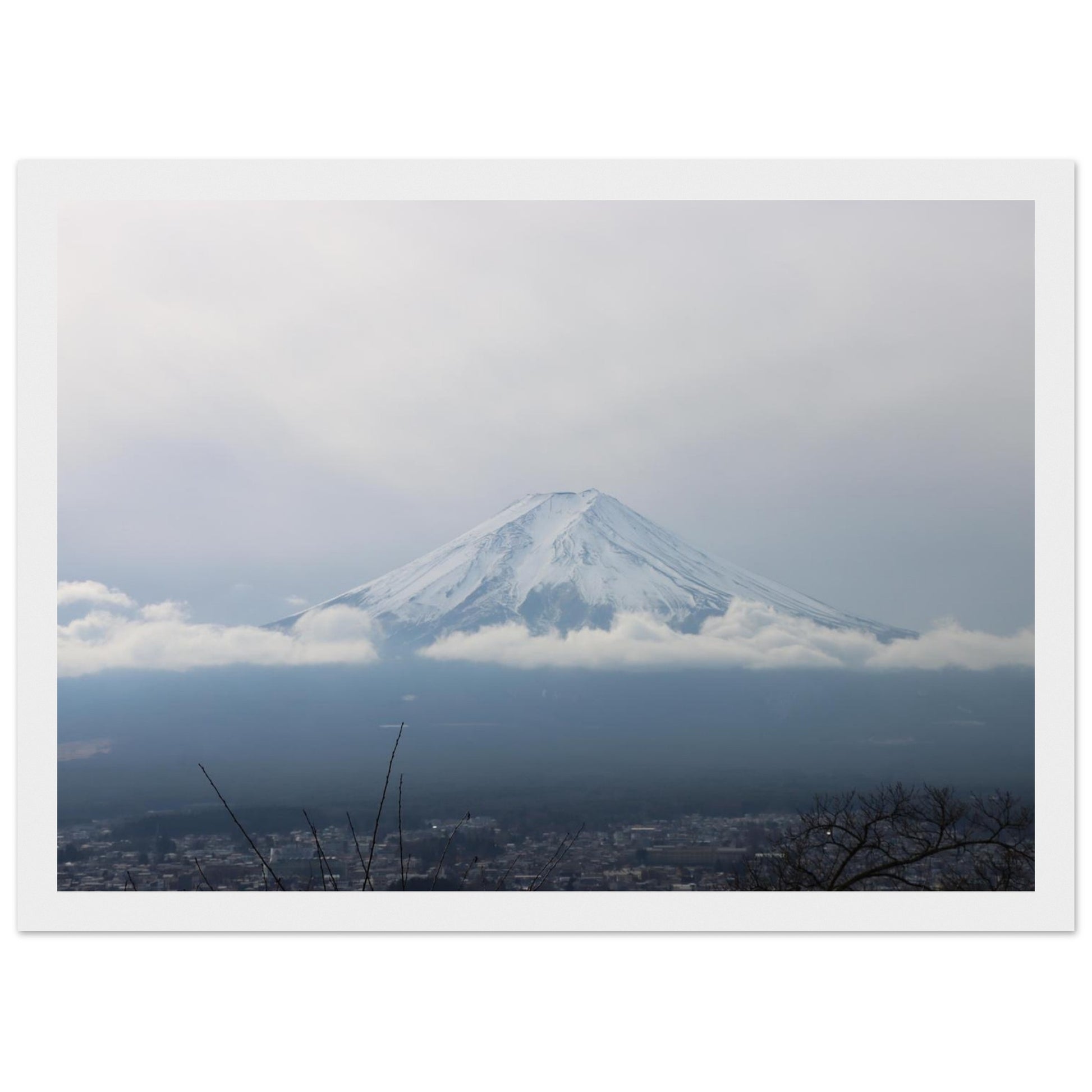 a71d2225-66f4-4000-96c3-fa9675f48e32