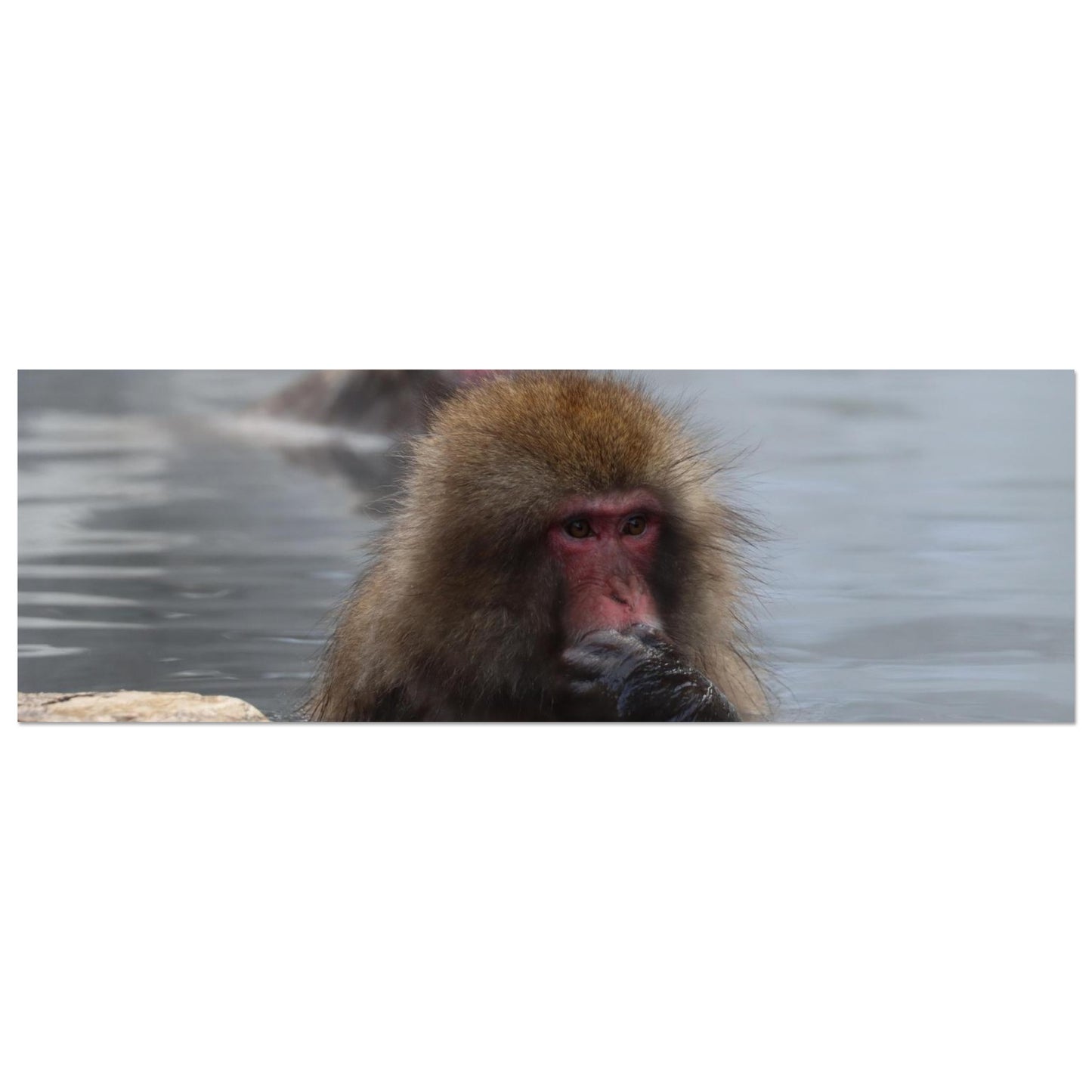 a7b4575c-7162-4c1c-bdf4-e4331aa91223