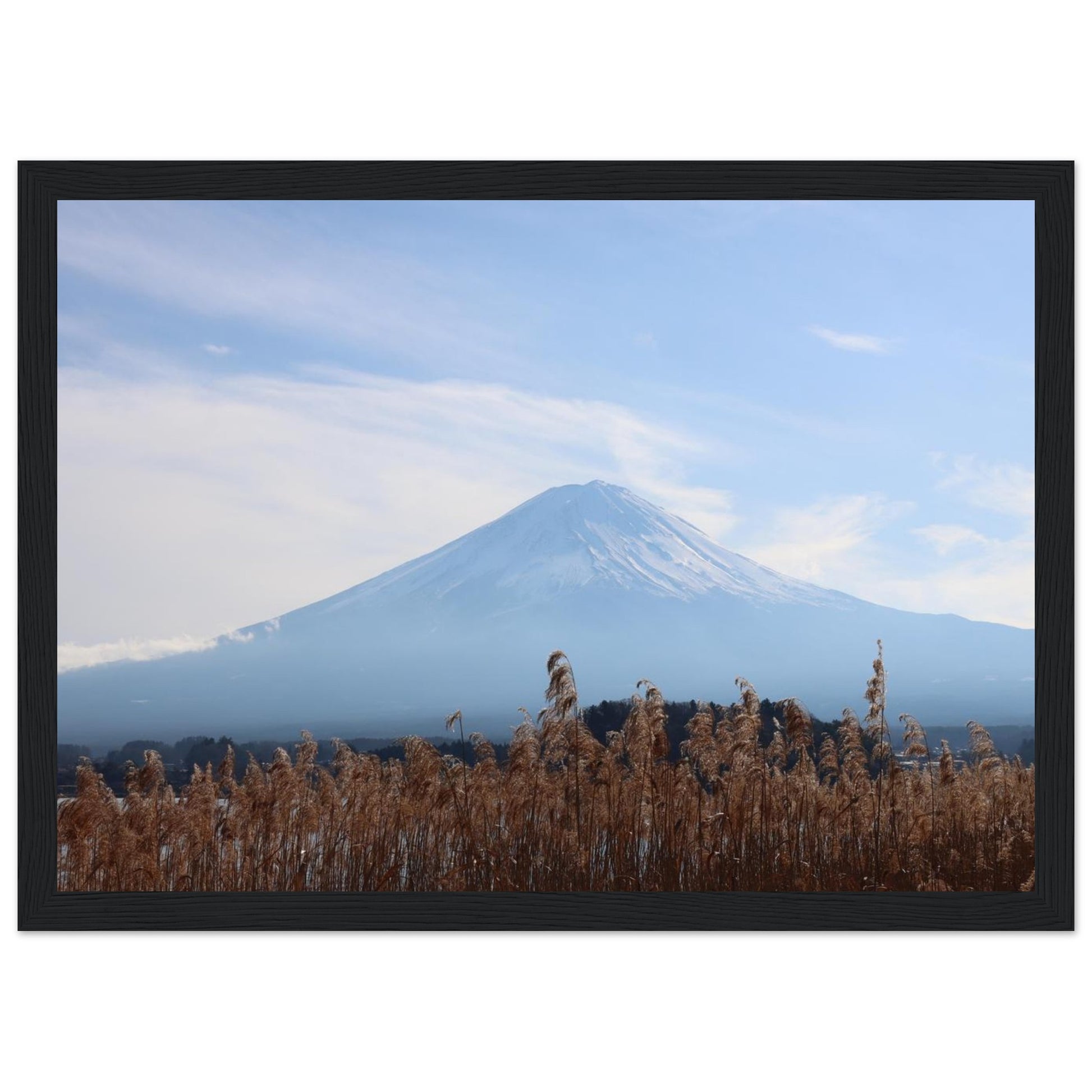 a7fe6217-923b-4580-b5d1-bdf103117181