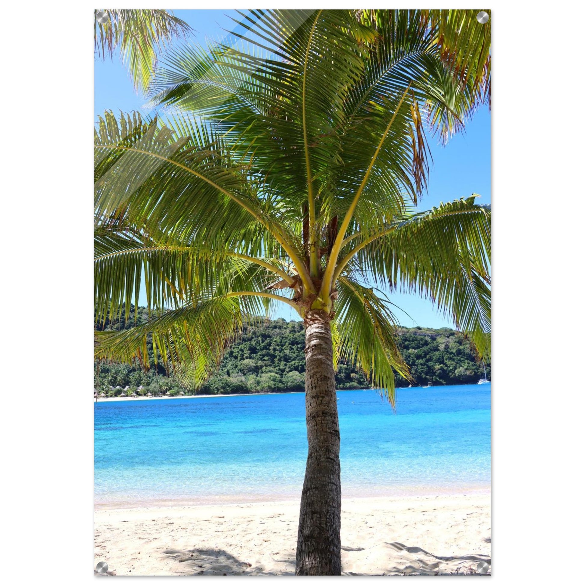 a8acbb01-ccbb-4585-8836-cb32c08cf8b3