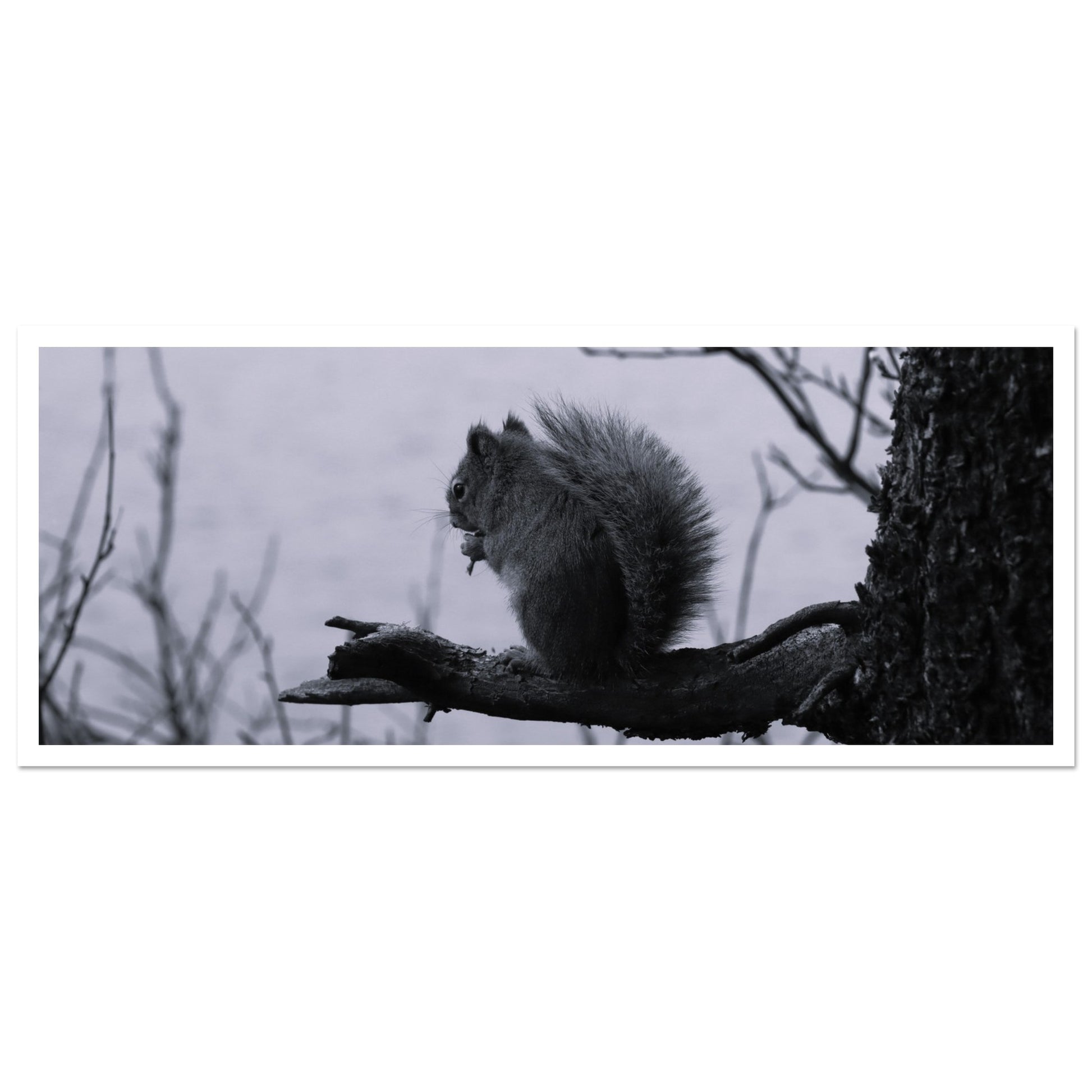 a993436b-b64e-4505-baa7-2f1cdcdc3746