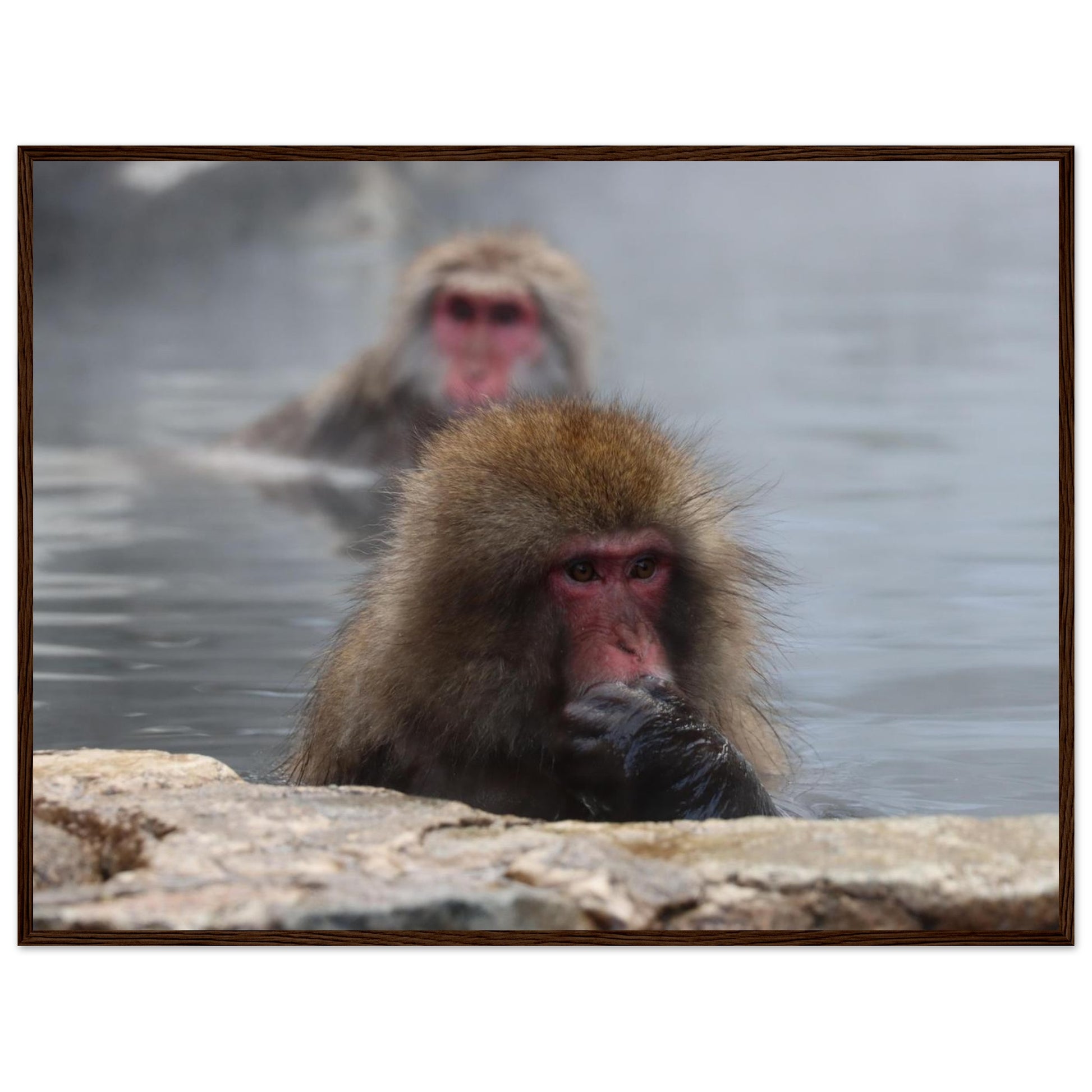 a9e6450a-4d3f-439e-8f19-cb3ae559ac83