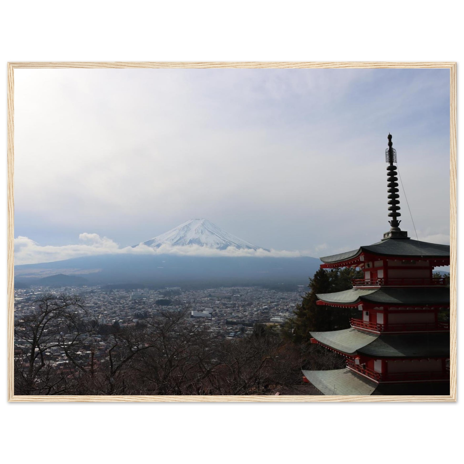 ae81a1da-d207-4c0b-ad18-e45f74eb78e0