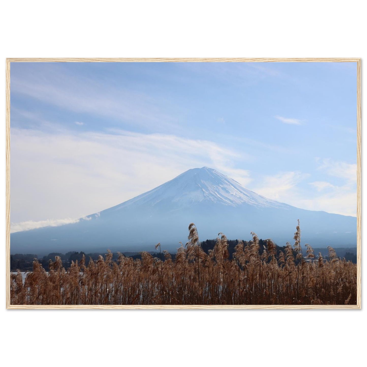 b17dac00-4365-4fff-8bb4-b21ff4a9c4c6