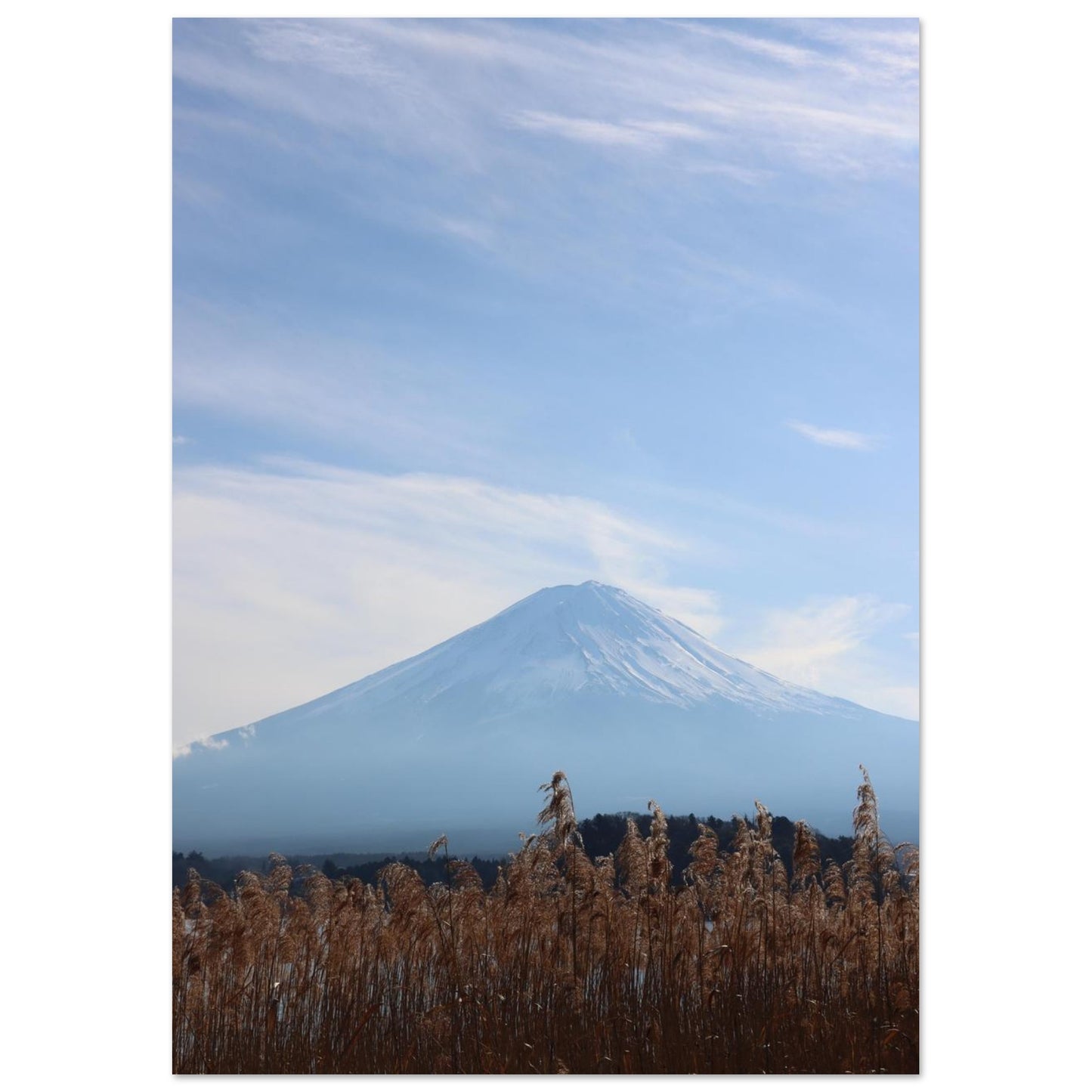 b21346a9-6b08-439d-8f38-233d42b2251f