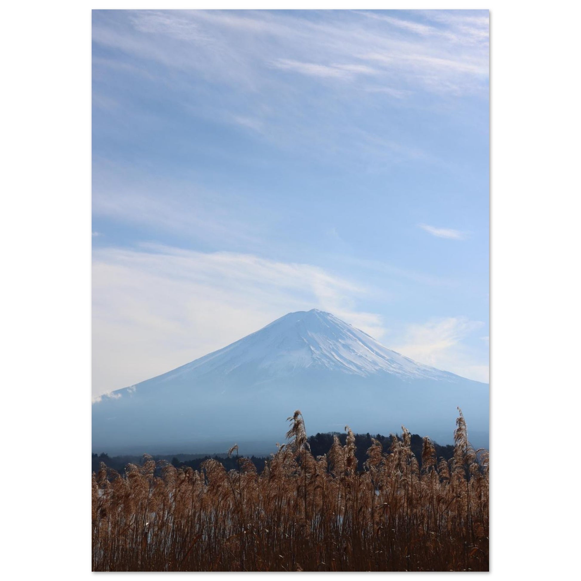 b21346a9-6b08-439d-8f38-233d42b2251f