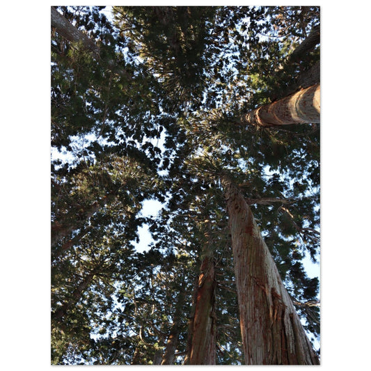 b2c4c5ae-65e1-44a5-8063-a04c27674687