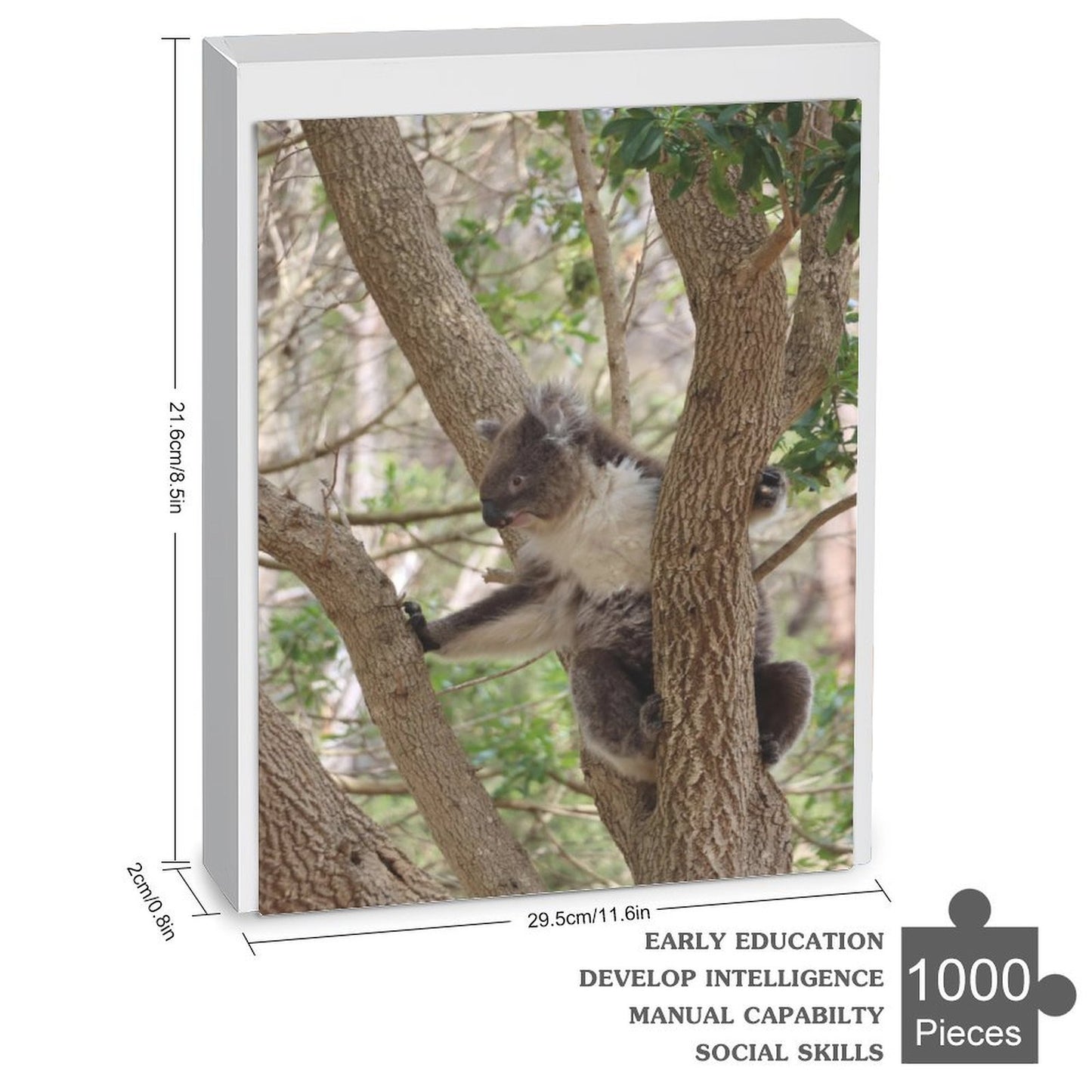 Koala, Australia - 1000-Piece Jigsaw Puzzle