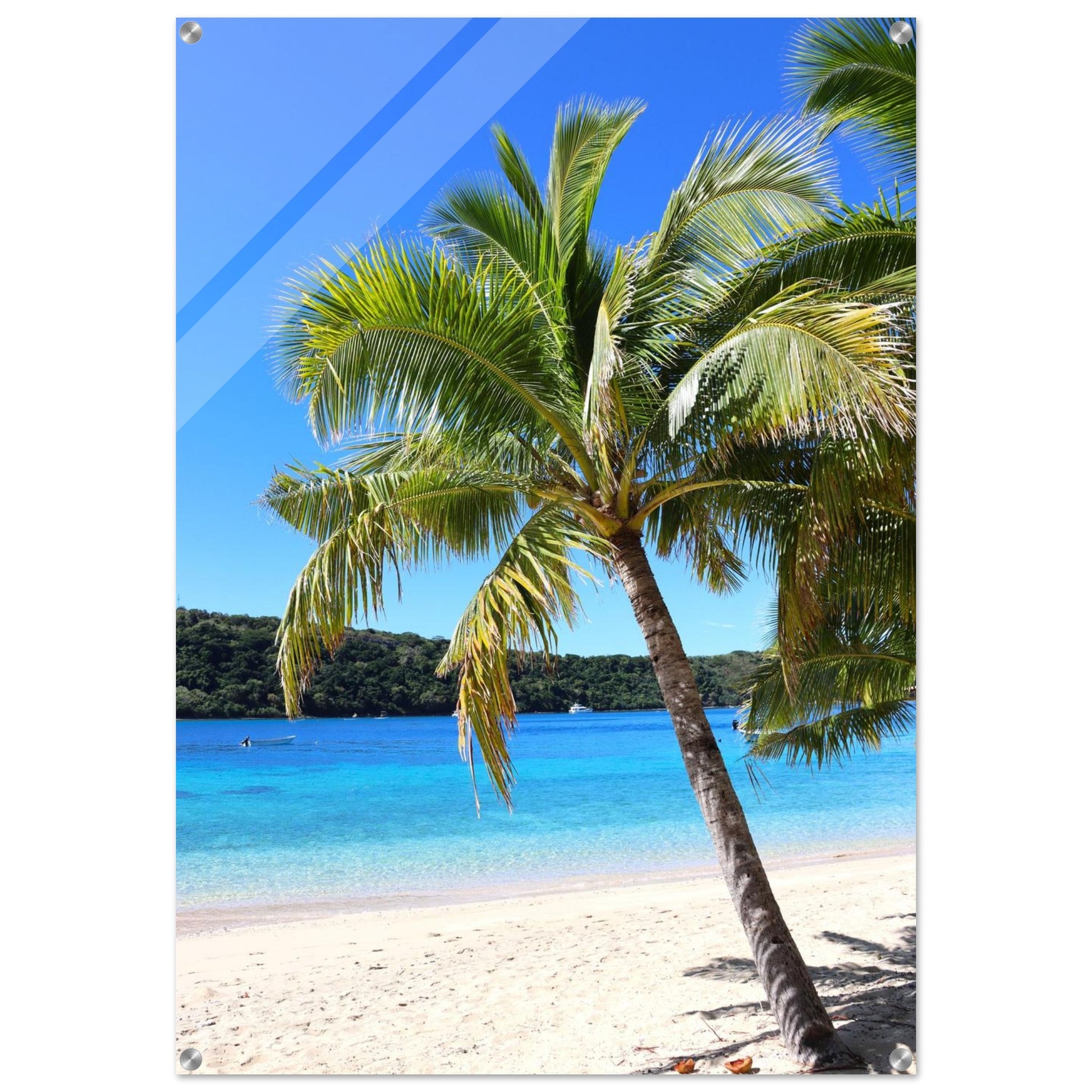 b3a1cc41-7354-48cc-bbba-02f573383db8