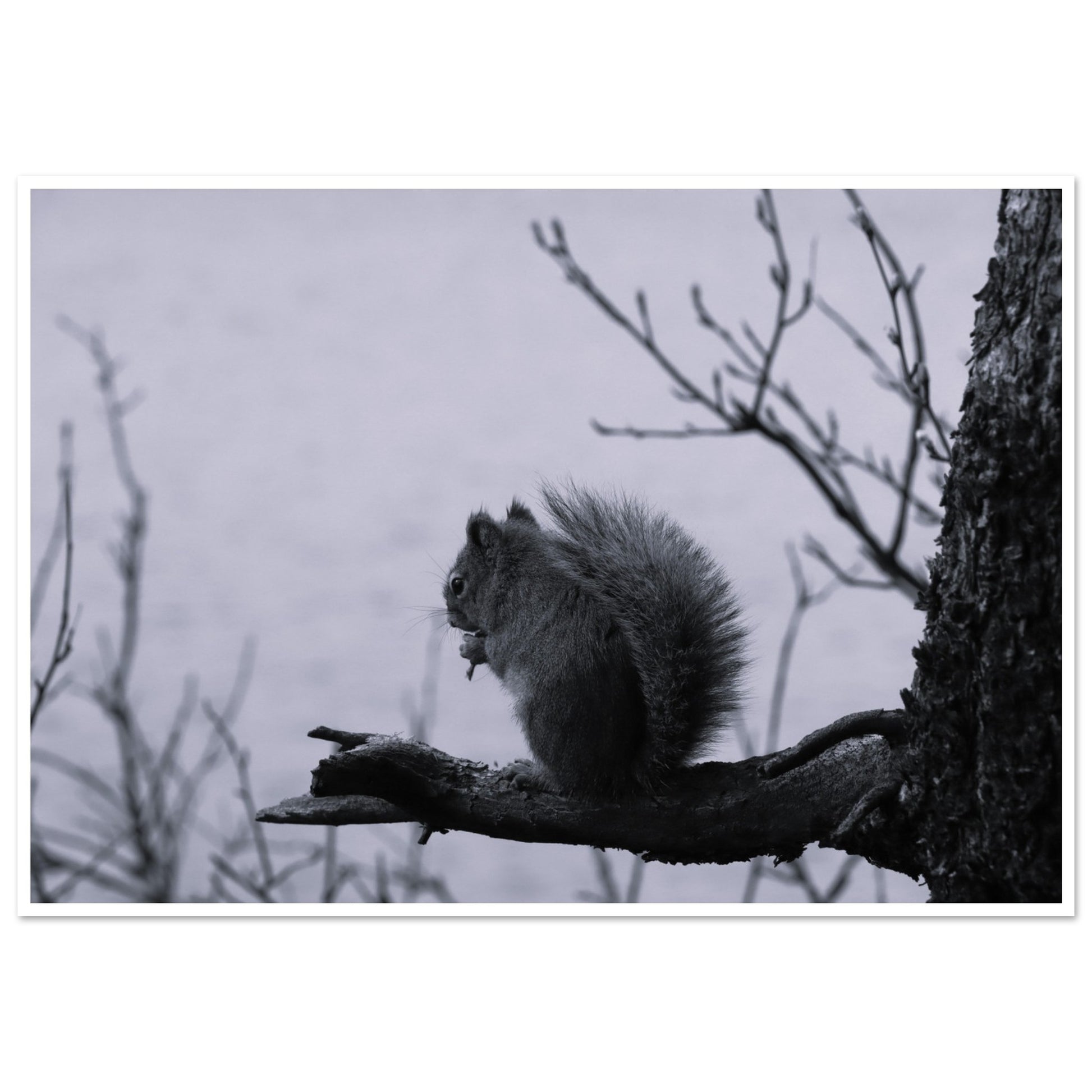 b6f781c1-7198-4afe-a7bc-9d6e18ac9be0