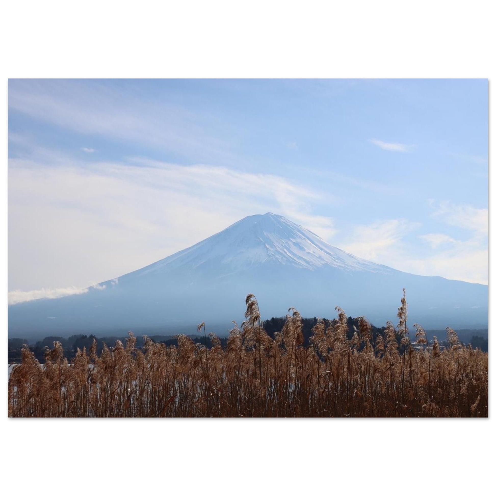 b9b8195d-e509-46ff-b09d-ff926465c84a