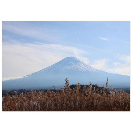 b9b8195d-e509-46ff-b09d-ff926465c84a