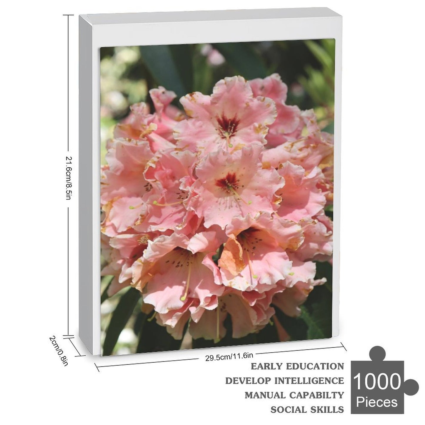 Pink ruffly rhododendrons in bloom - 1000-Piece Jigsaw Puzzle