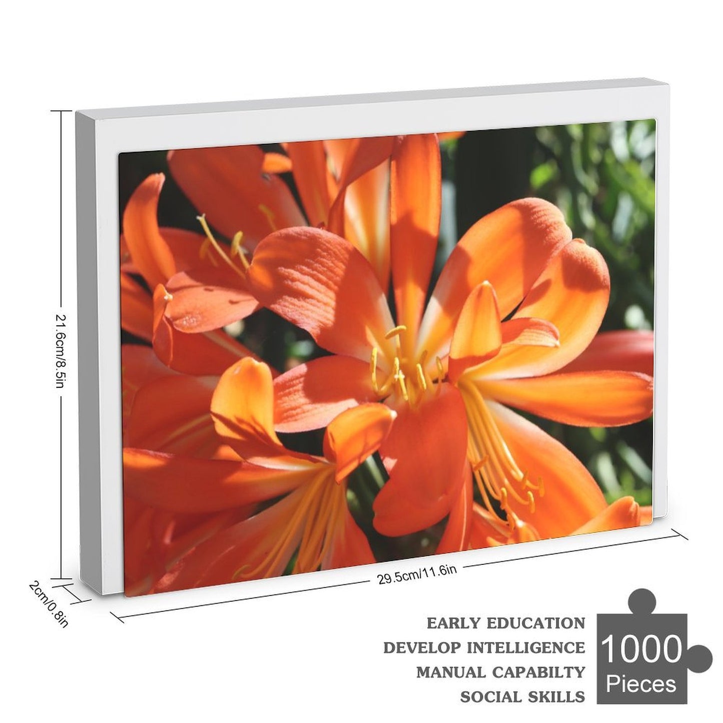 Clivias in the sun - 1000-Piece Jigsaw Puzzle